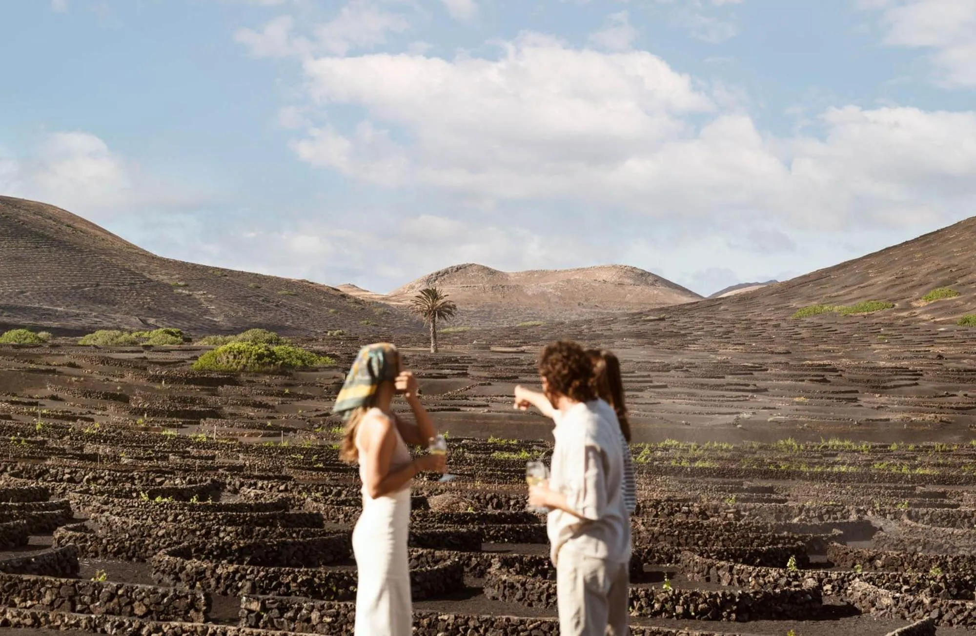 Activities in Hotel EL GRIFO