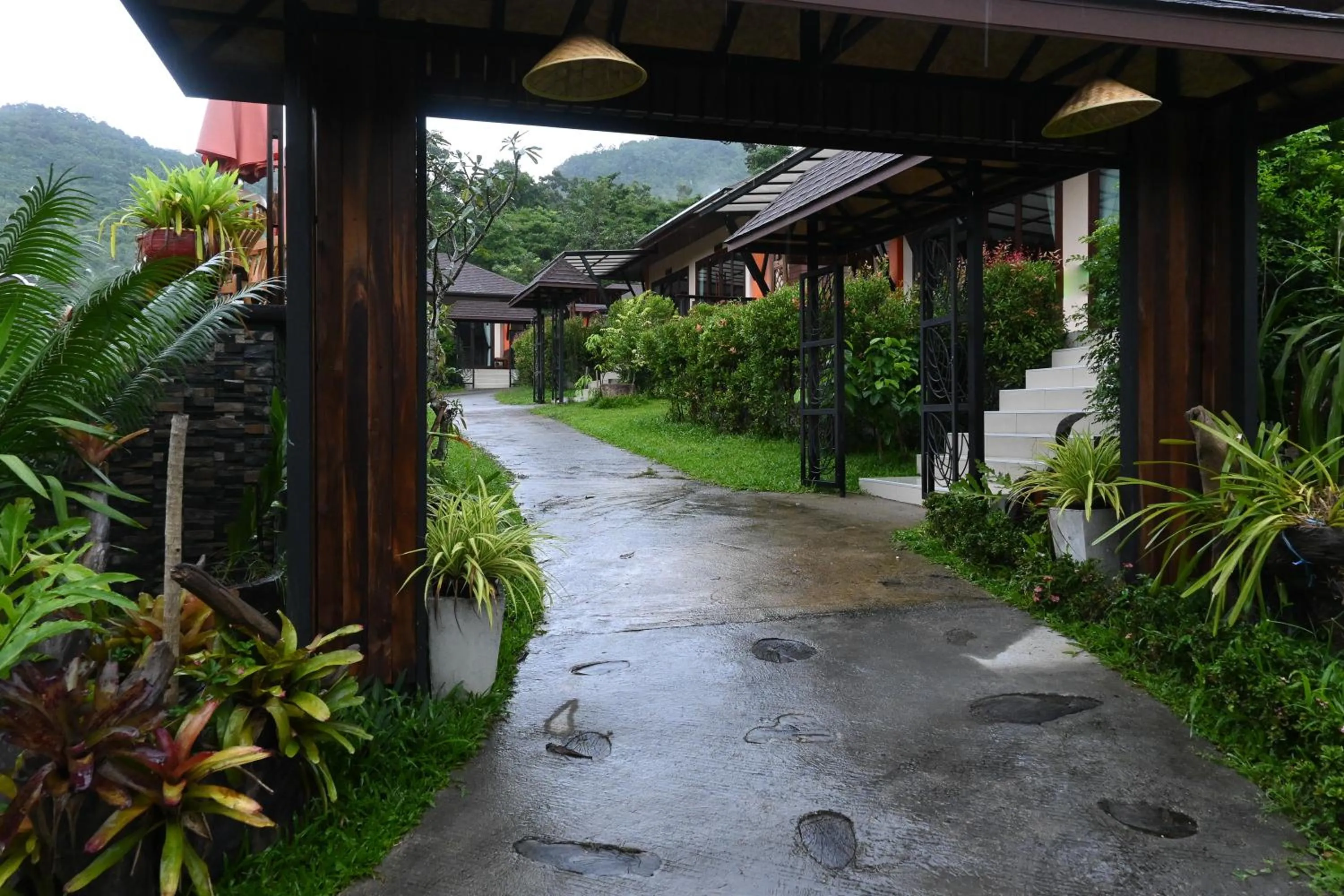 Natural landscape in Cascade Tara