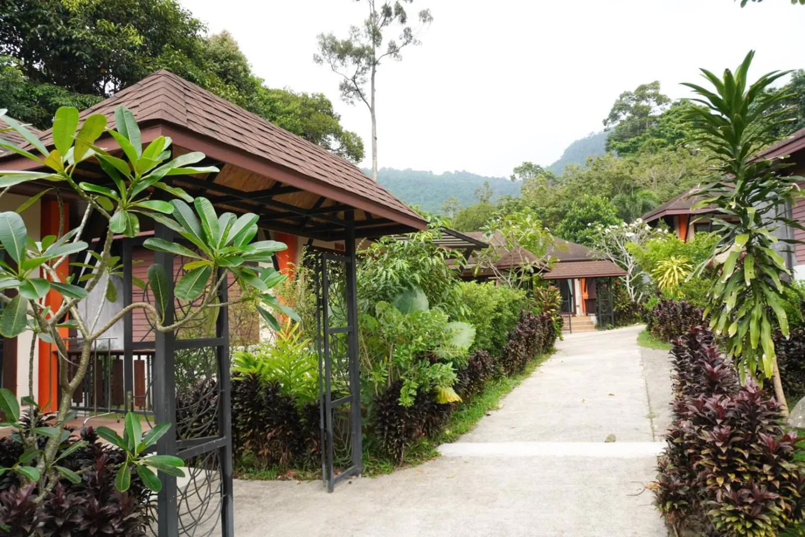 View (from property/room) in Cascade Tara