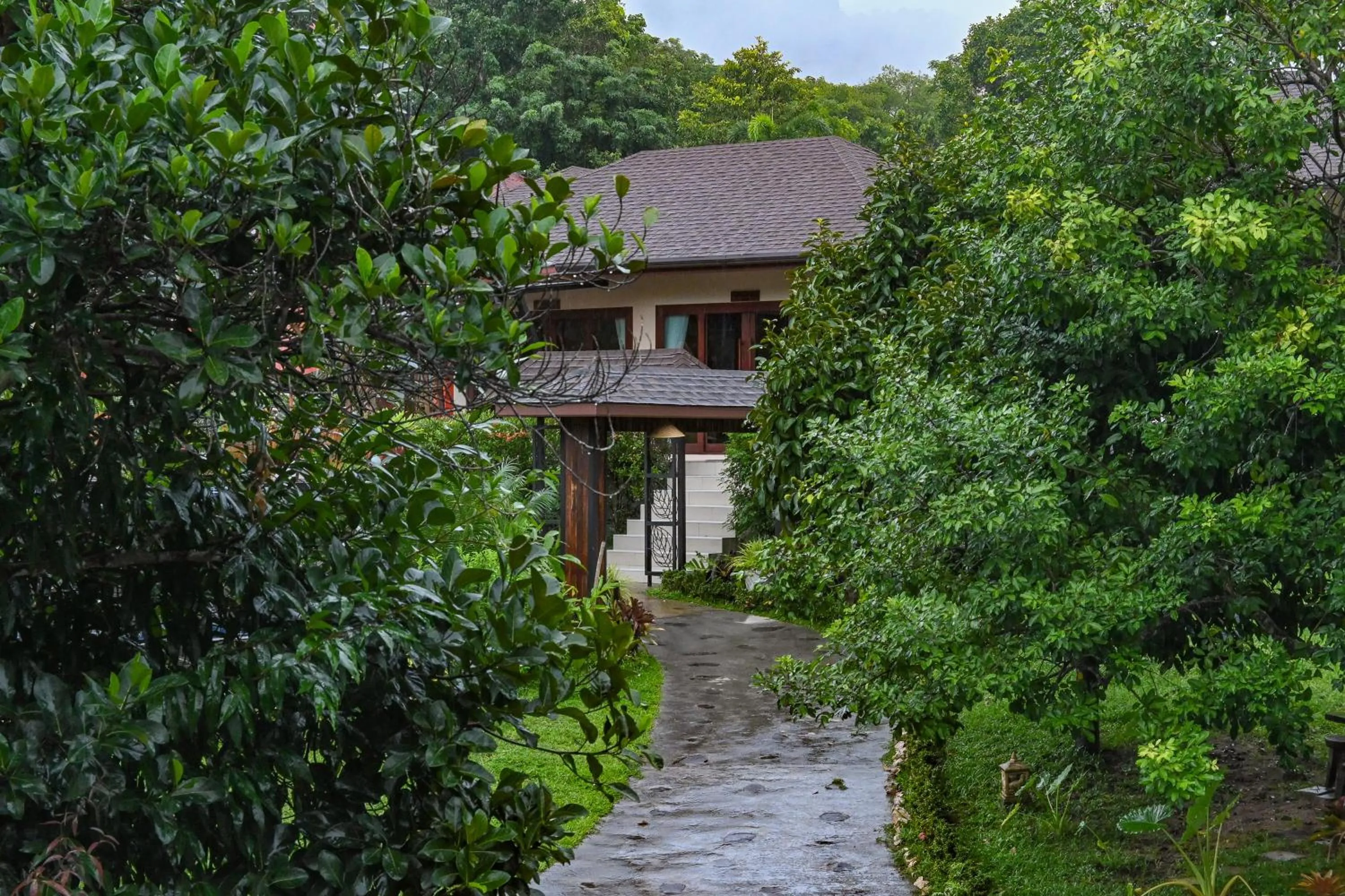 Natural landscape in Cascade Tara