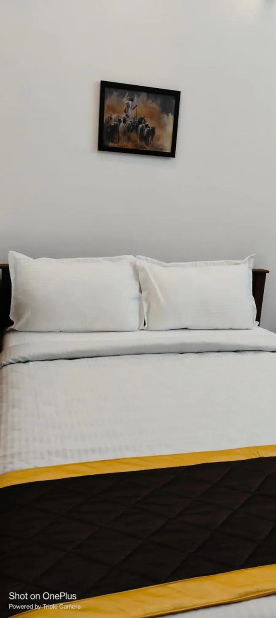 Bed in PURPLE ORCHID BY XACRO XPERIENCES