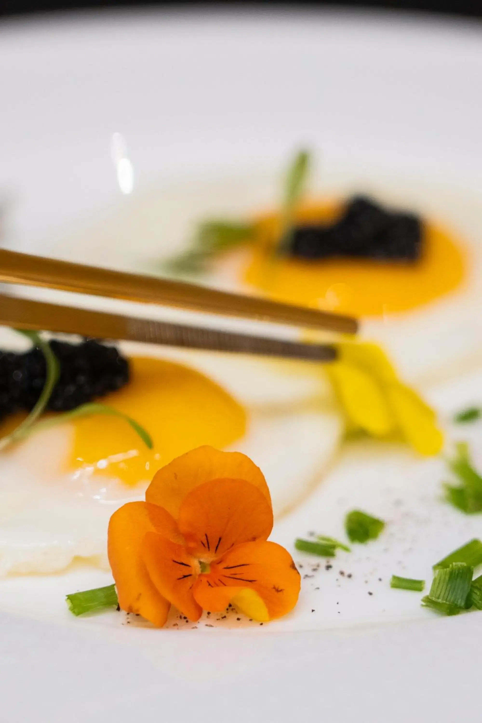 Food and drinks in Palacio Ca Sa Galesa Food and drinks in Palacio Ca Sa Galesa