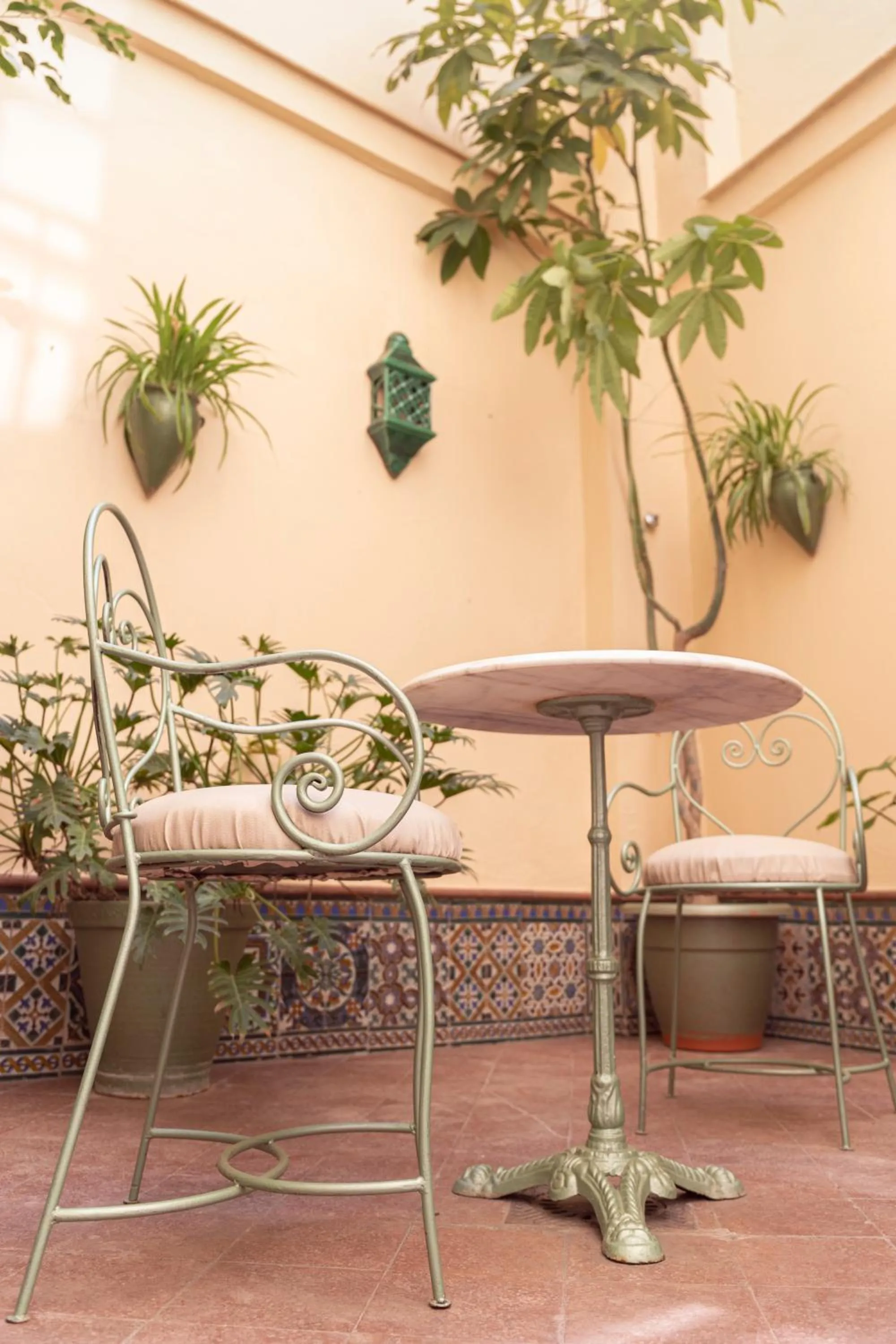 Garden in Casa Romana Hotel Boutique