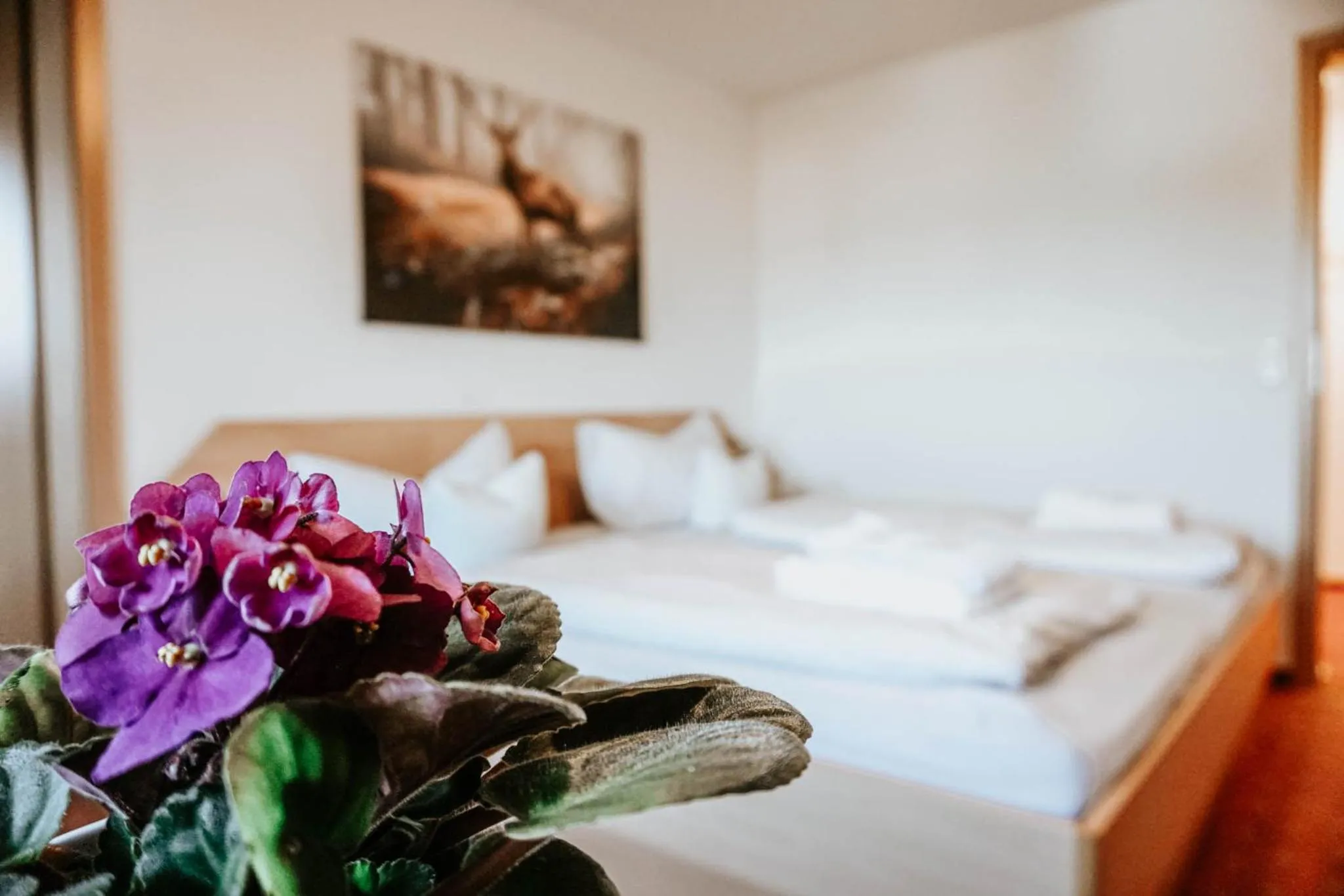 Bed in Gasthaus Hirsch