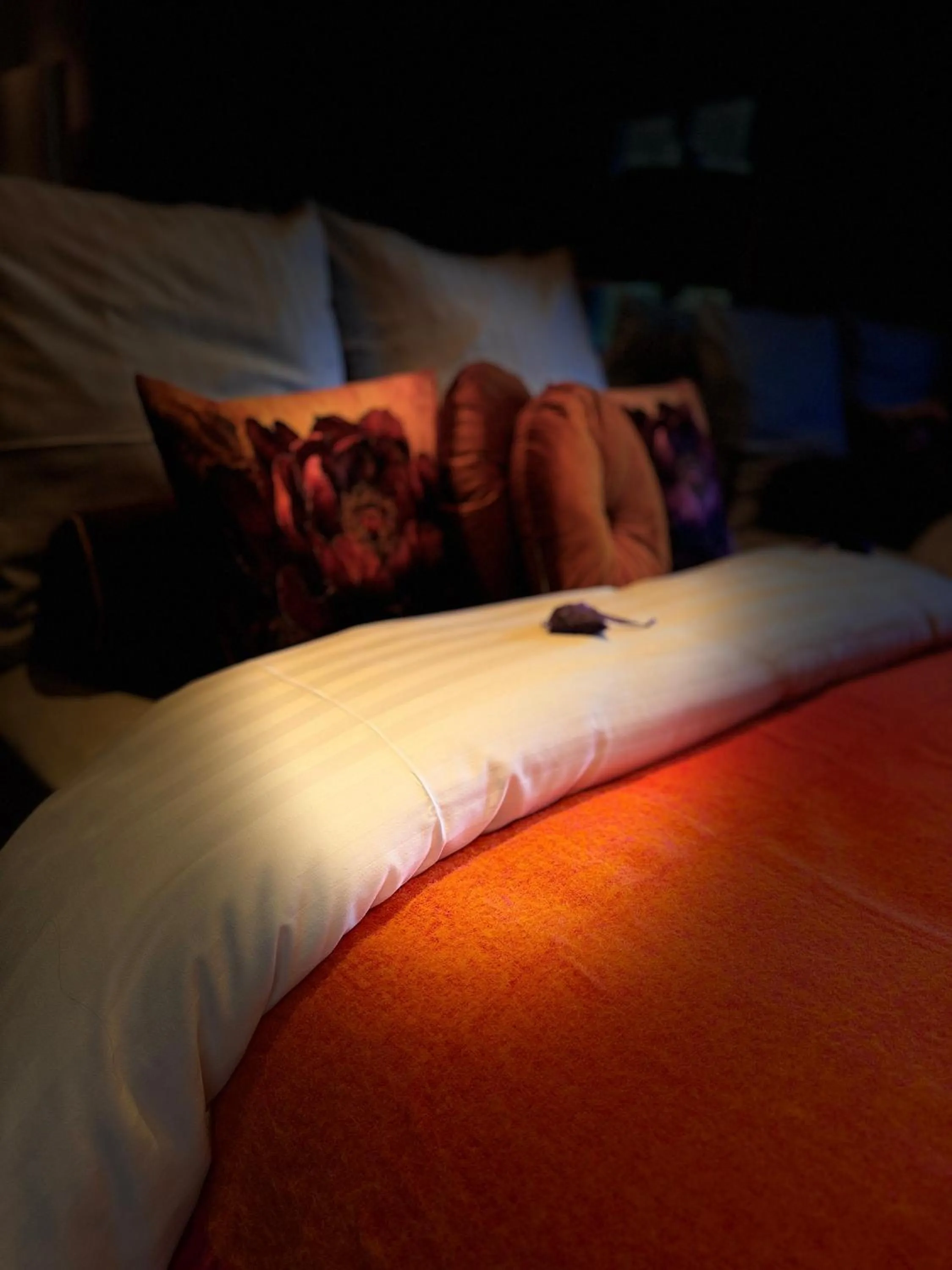 Bed in Sleephotels Alsterroom