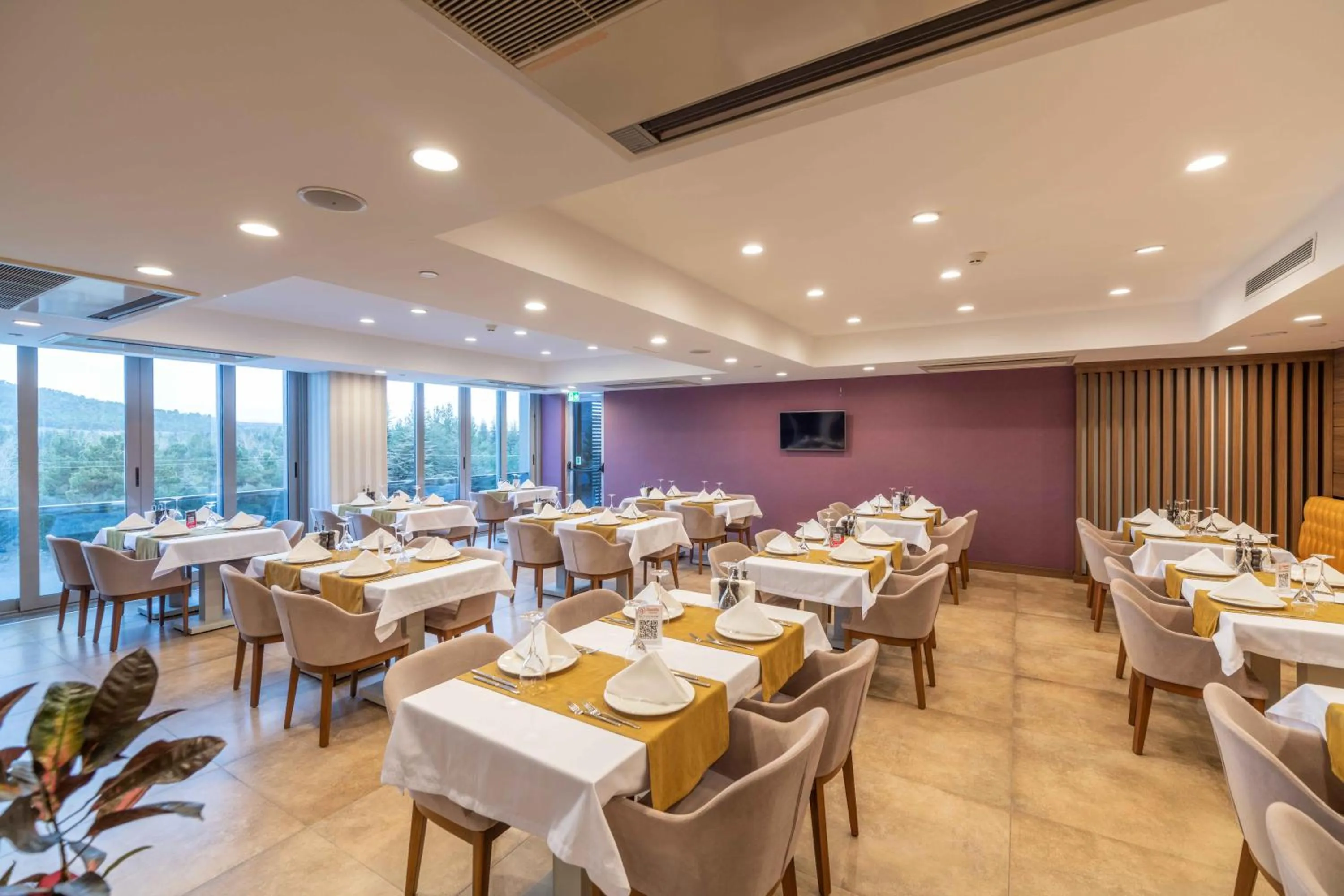 Restaurant/places to eat in Questa Thermal & Spa Hotel