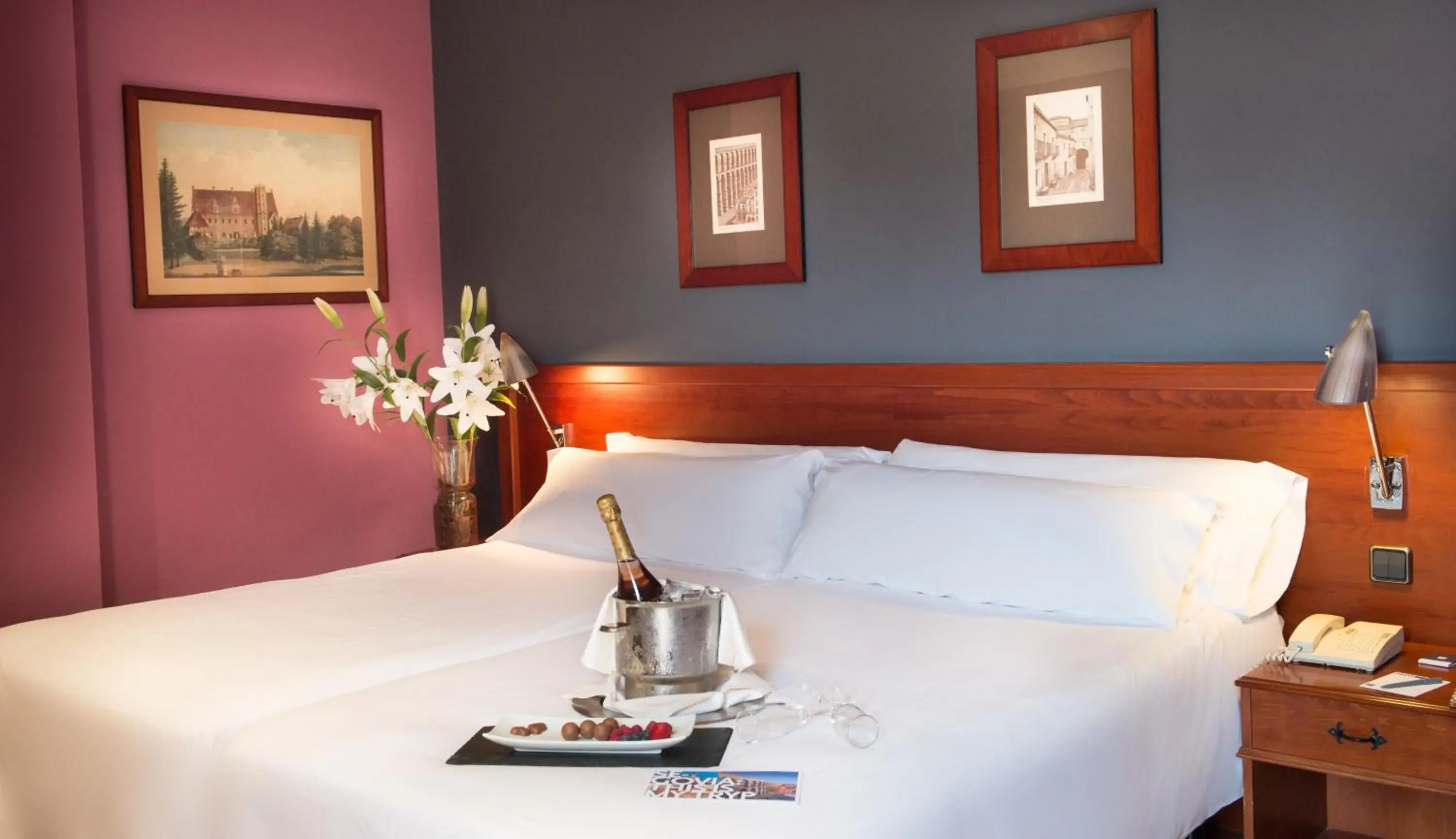 Standard Twin Room in Segovia Sierra de Guadarrama Standard Twin Room in Segovia Sierra de Guadarrama