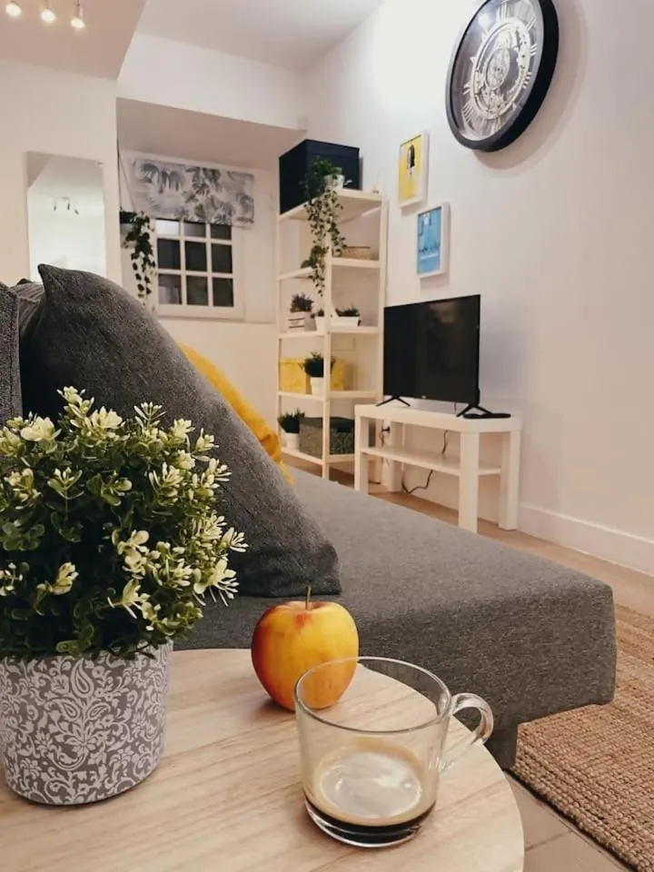 Bica inn cozy apartament