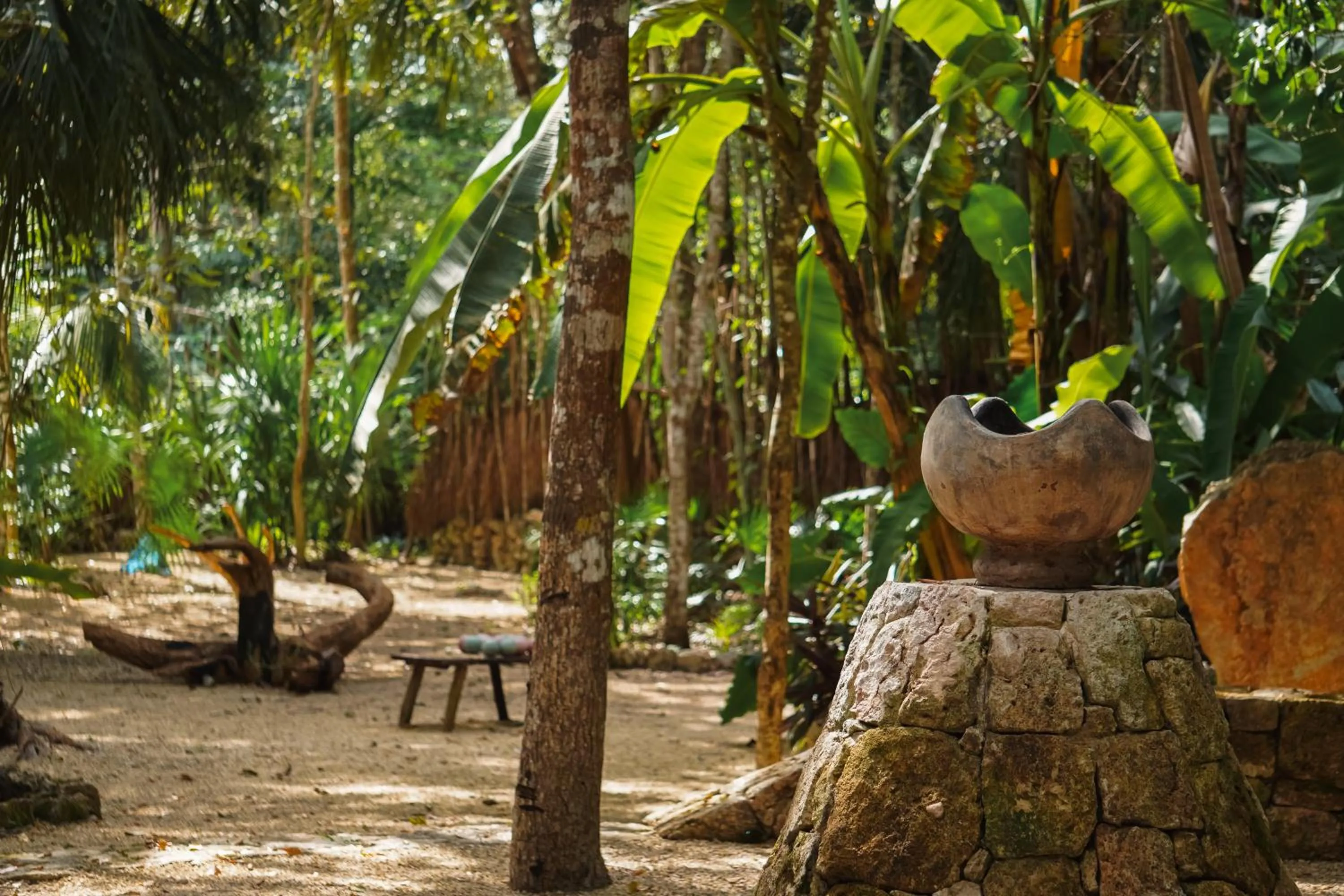 Garden view in Naya Bacalar Lagoon Front Hotel