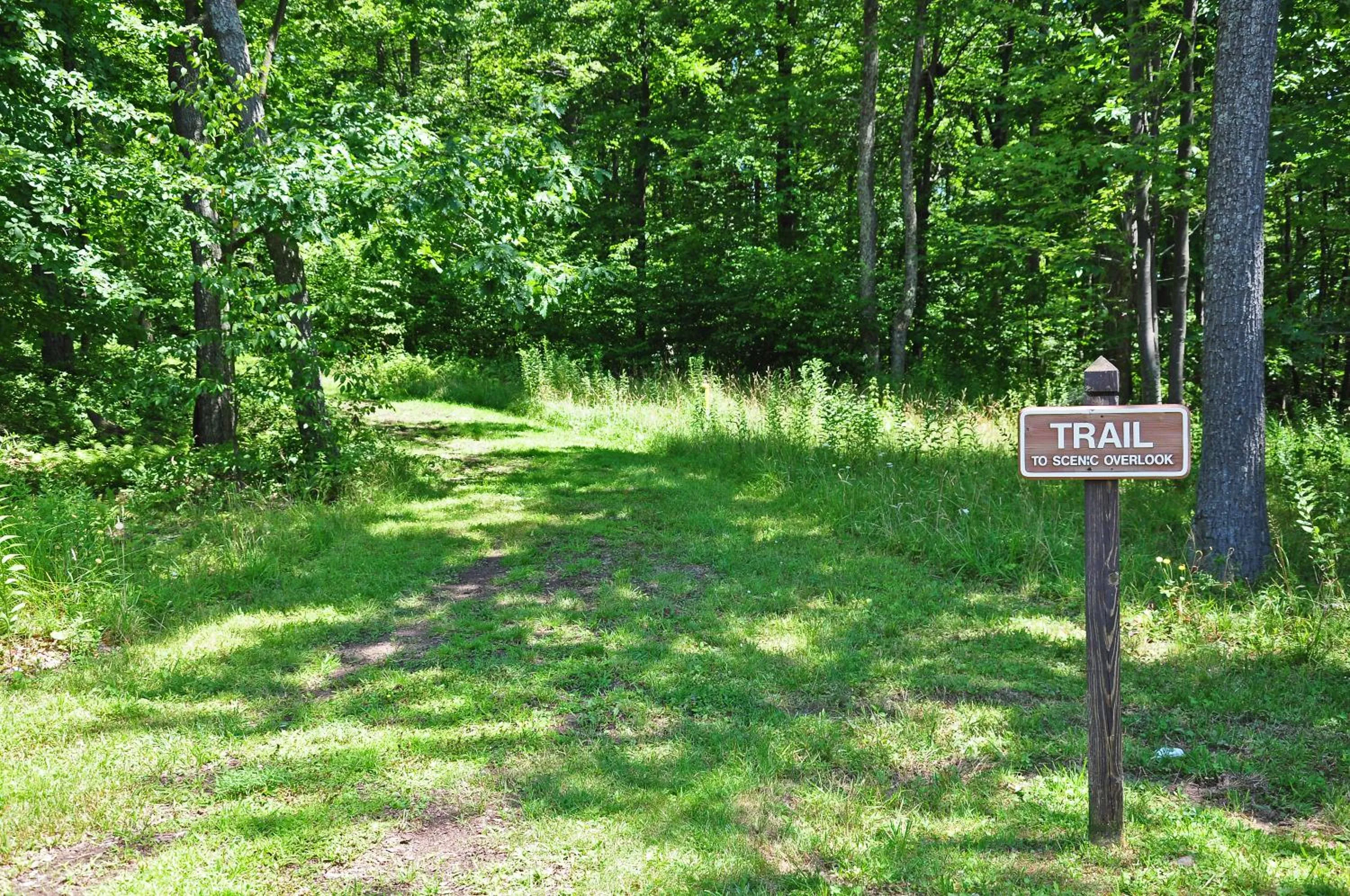 Property building in Happyplace Hideaway