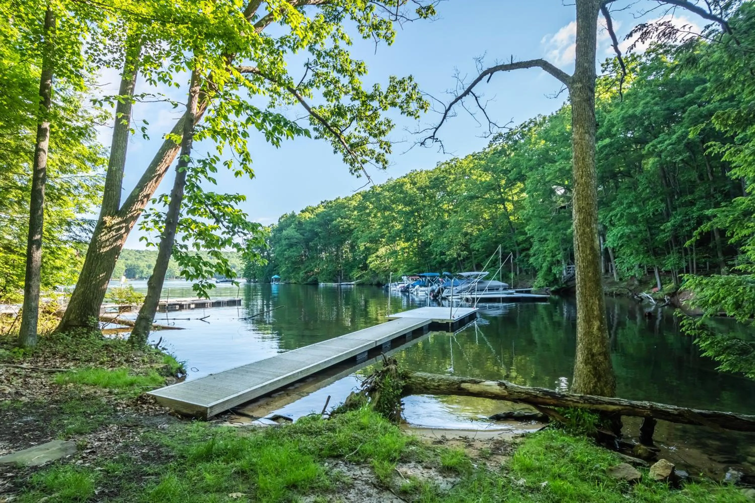 Property building in Bee Tree II