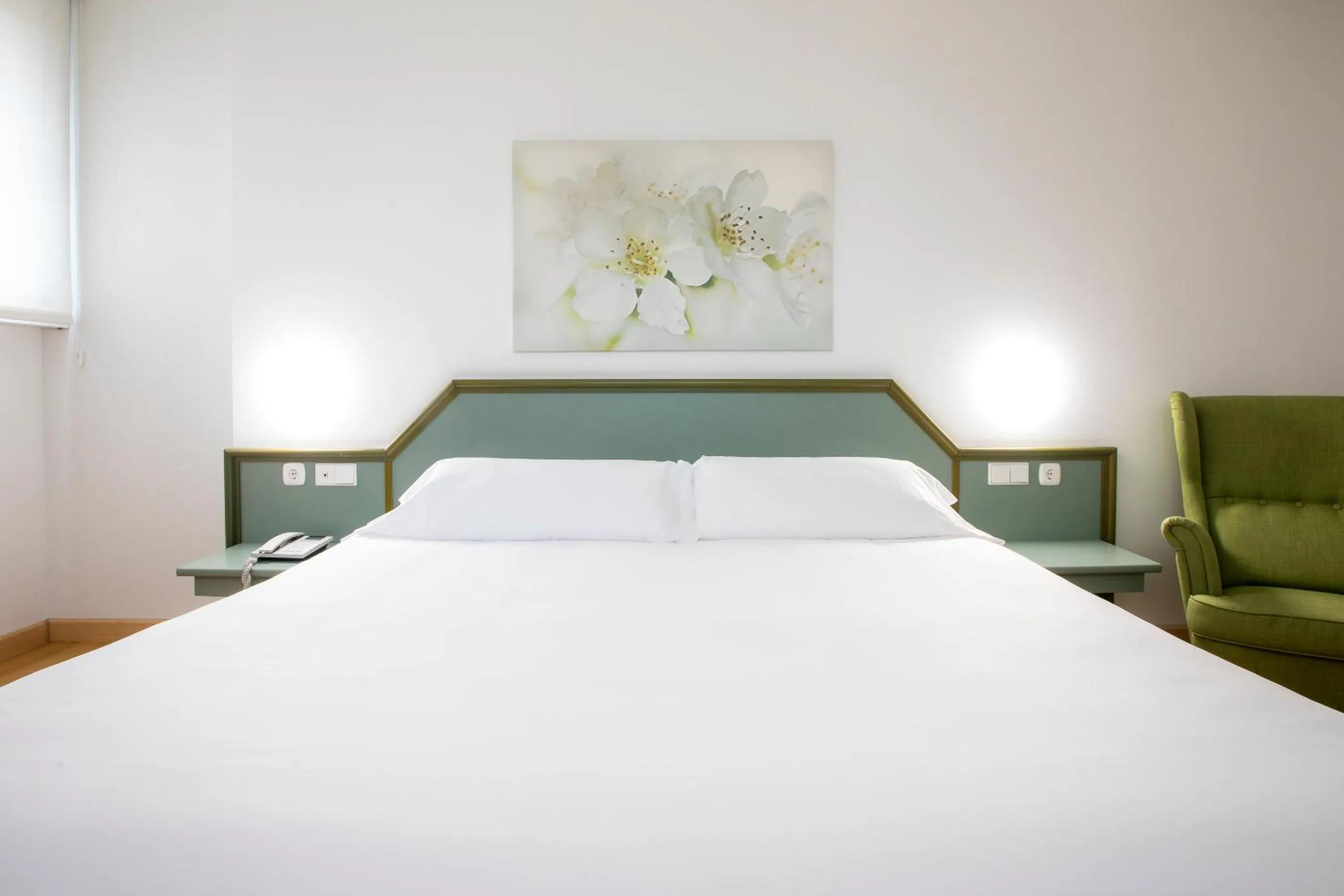 Bed in Hotel Urdanibia Park