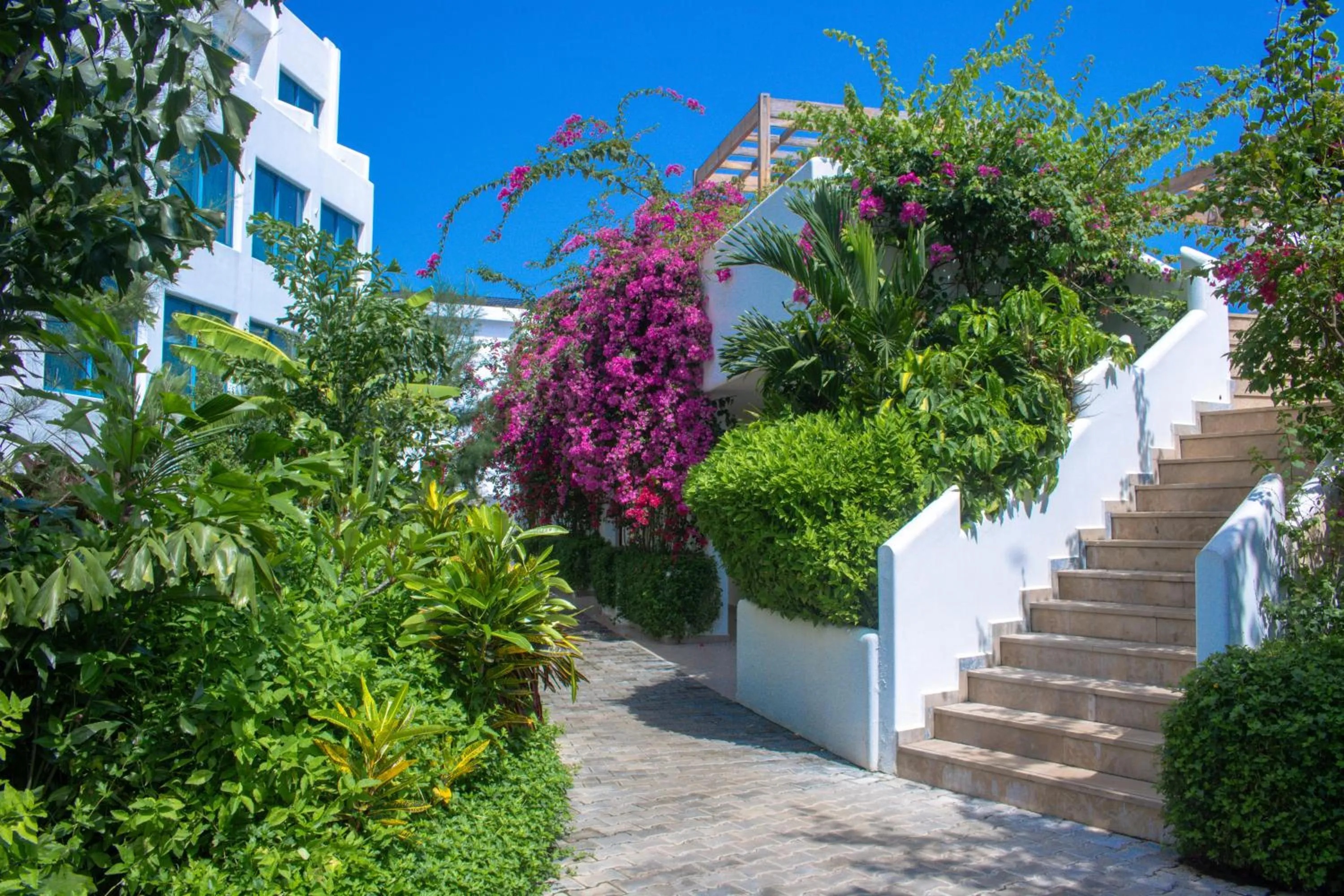 Property building in The Lead Hotel