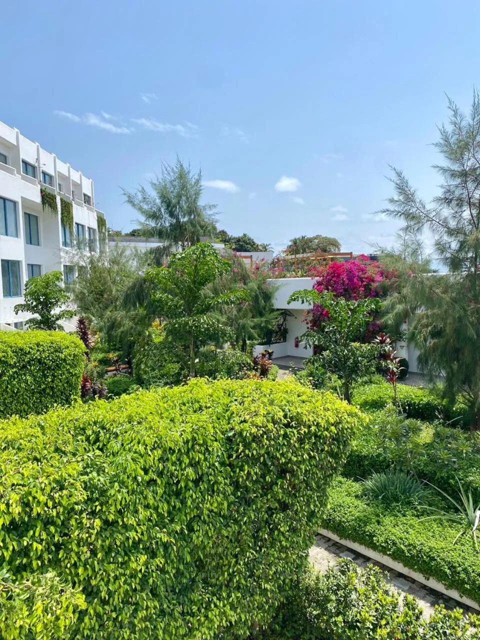 Garden in The Lead Hotel