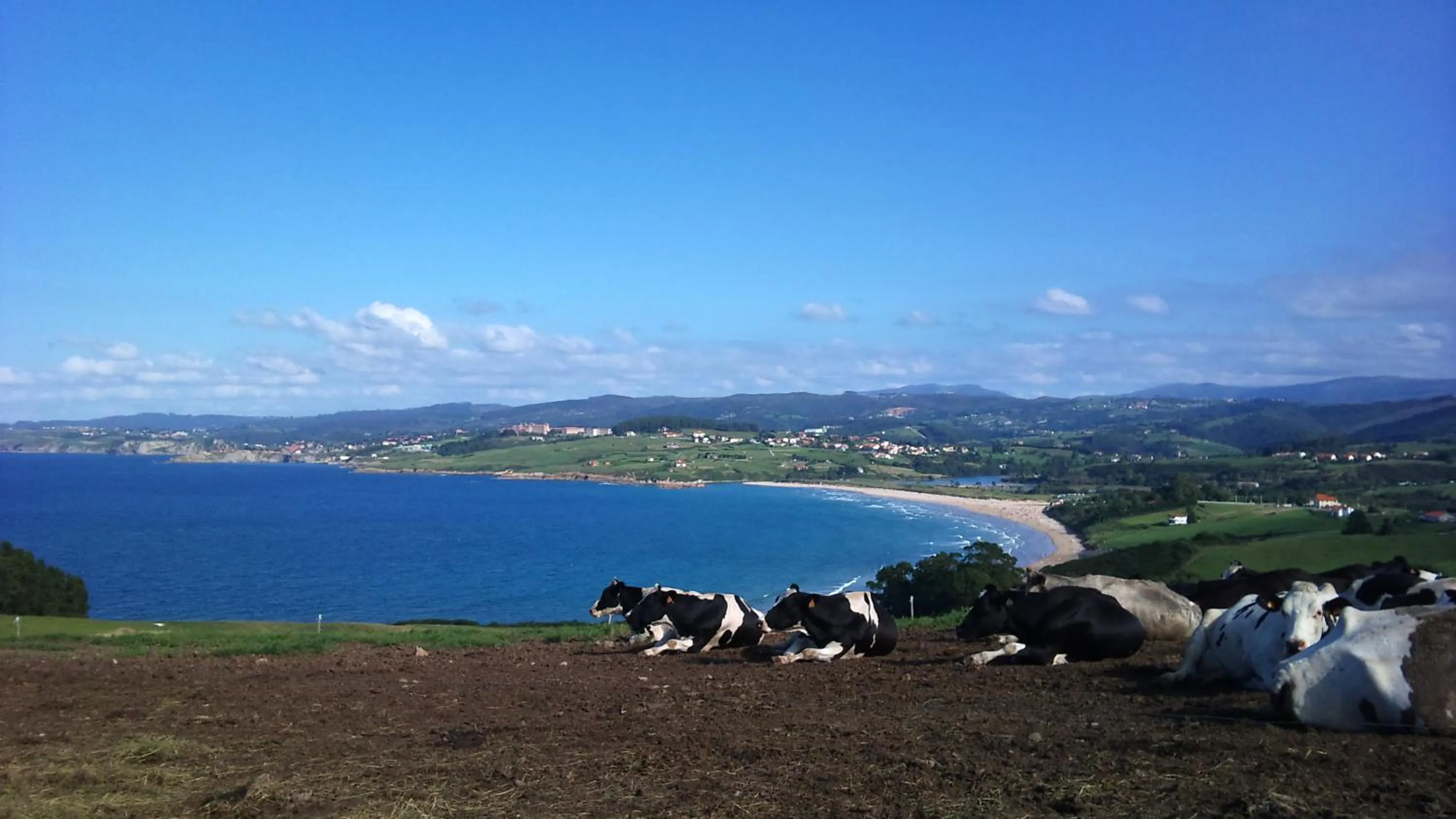 Snorkeling in Hotel Museo Los Infantes