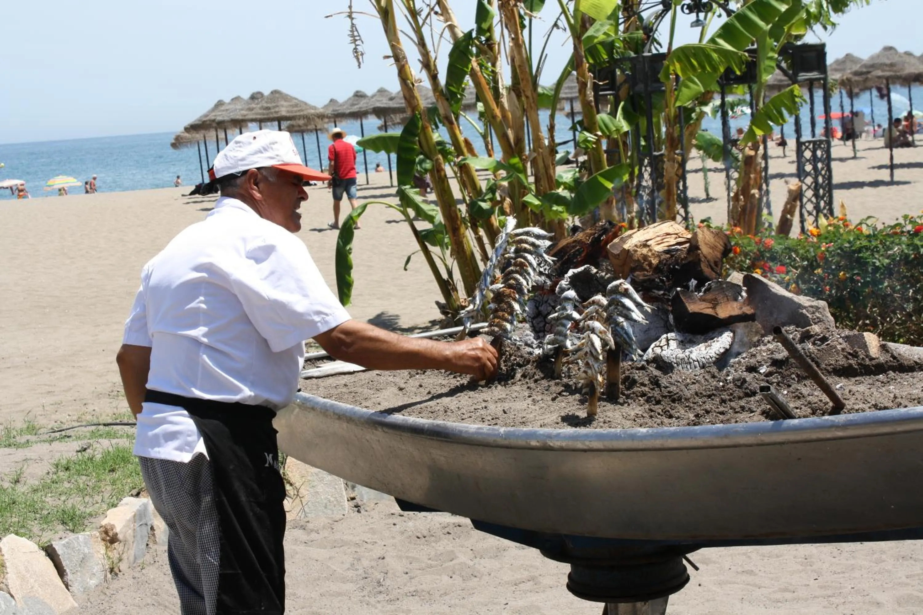Staff in Hotel MS Tropicana Costa del Sol