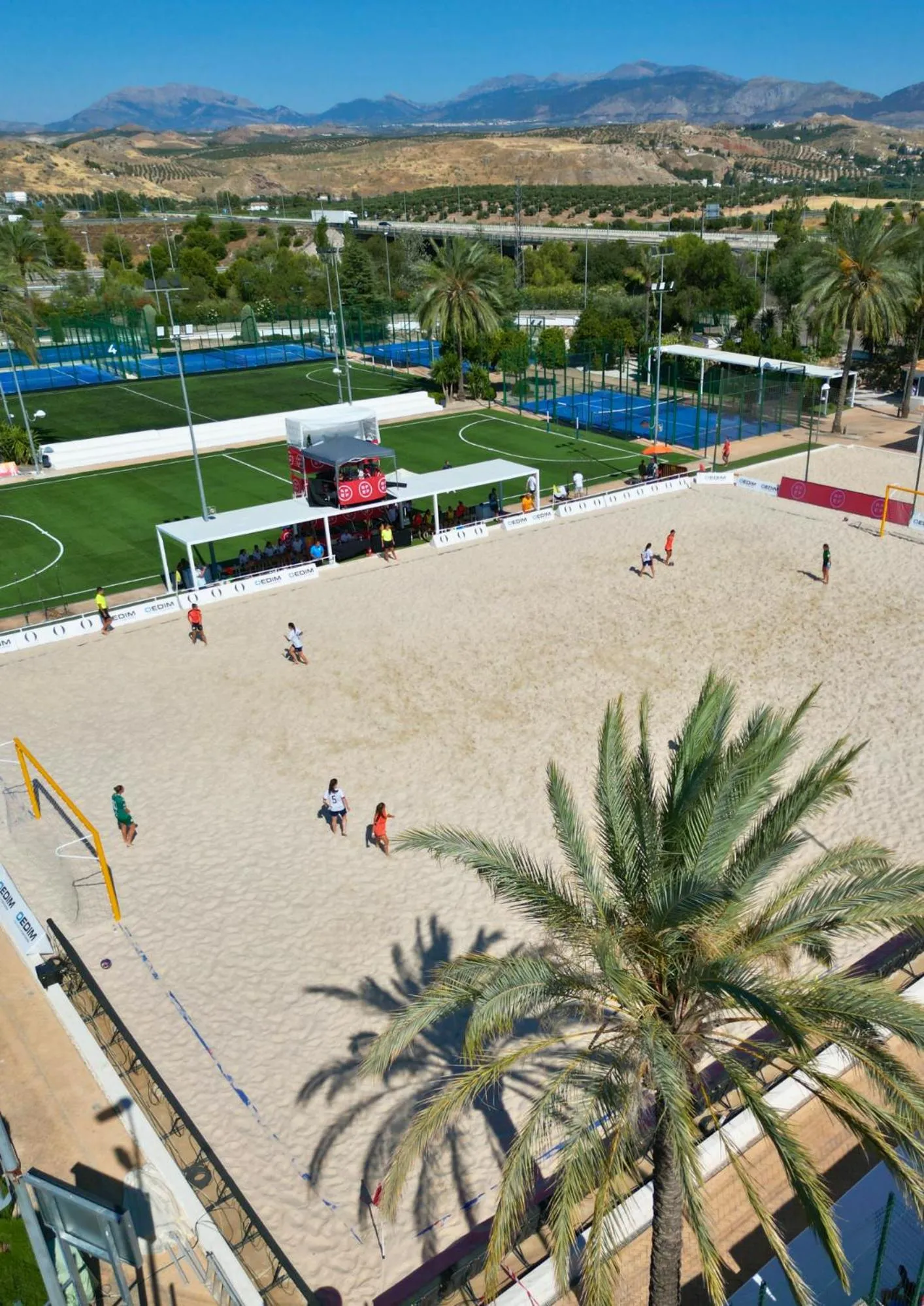 Sports in HO Ciudad de Jaén By Olivencia