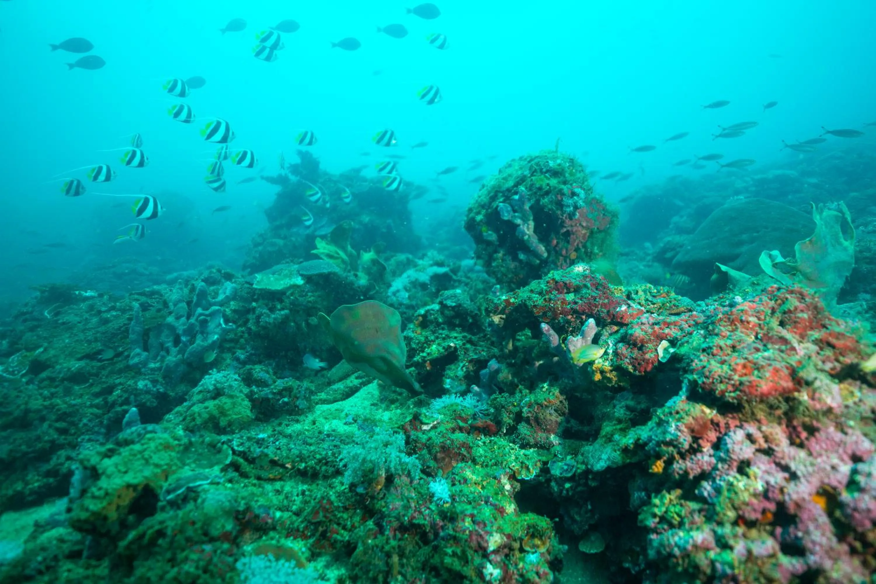 Activities in Antique Amor Bungalows & Villas