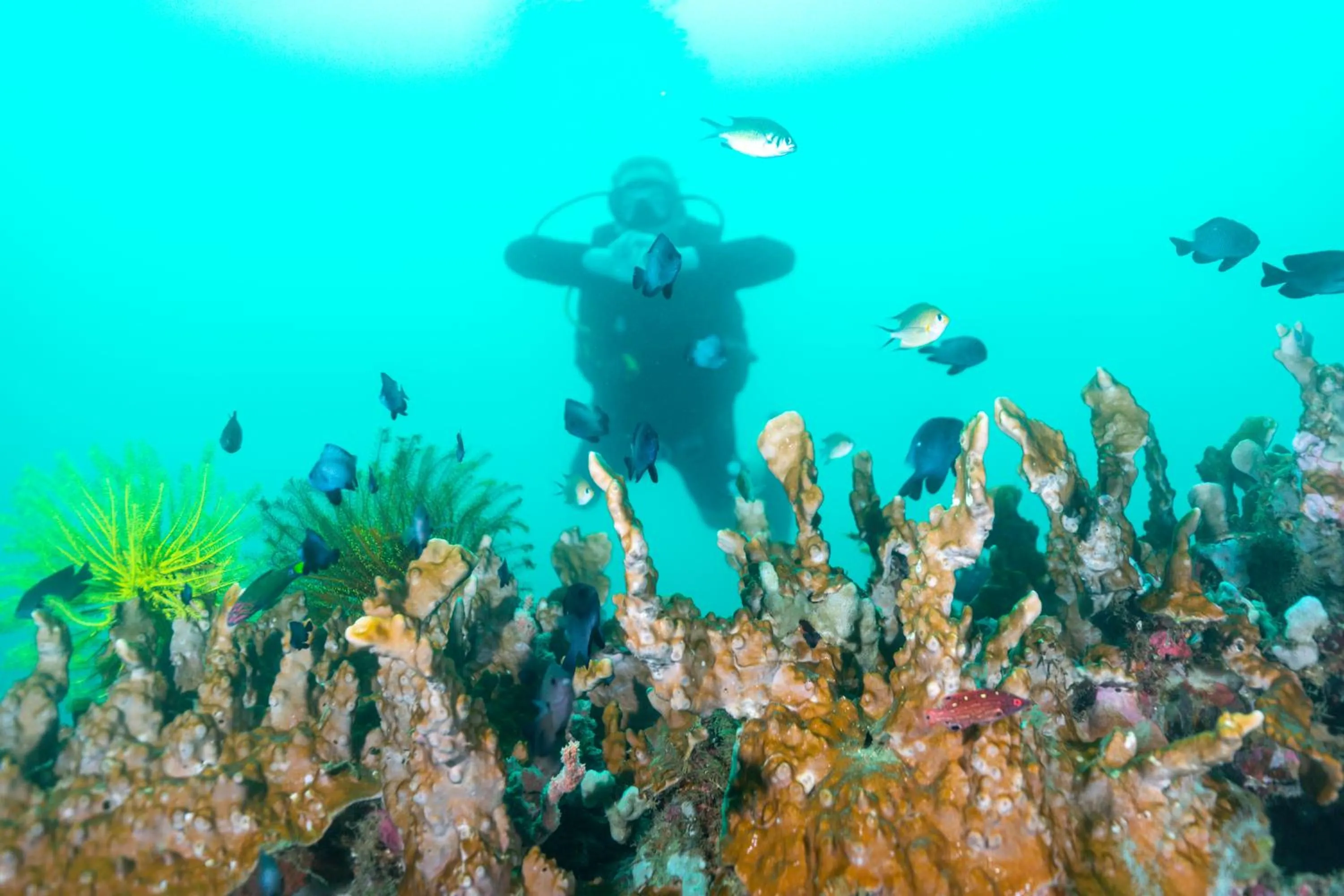 Activities in Antique Amor Bungalows & Villas