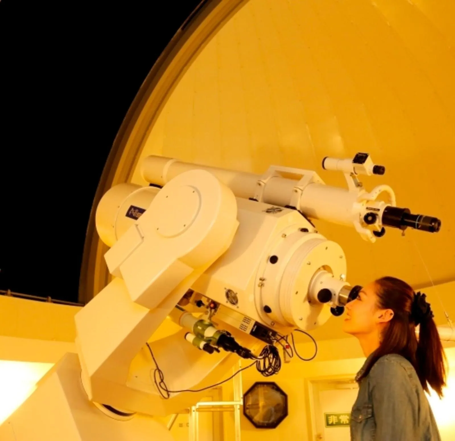 Entertainment in Kyukamura Minami-Awaji