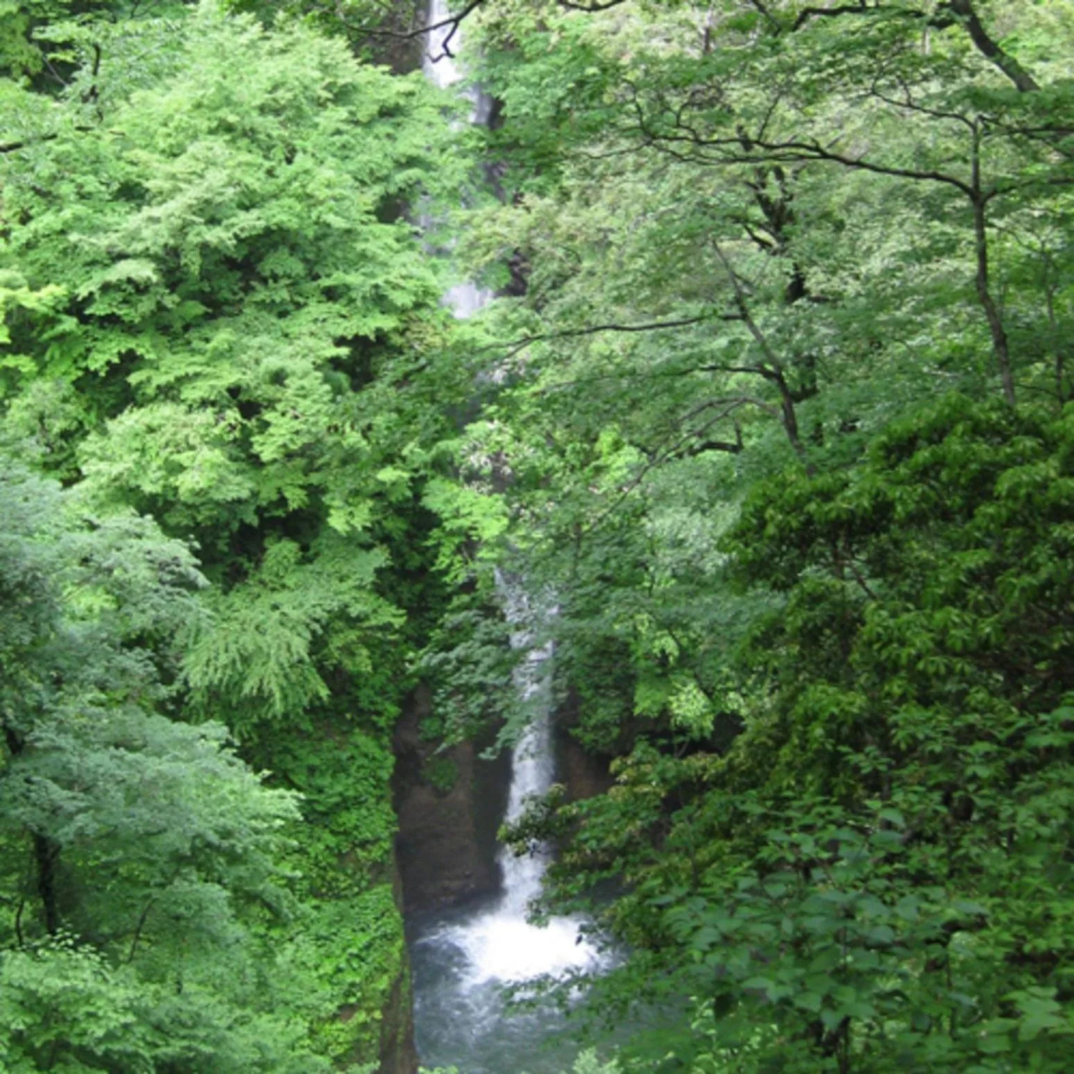 Kyukamura Oku-Daisen