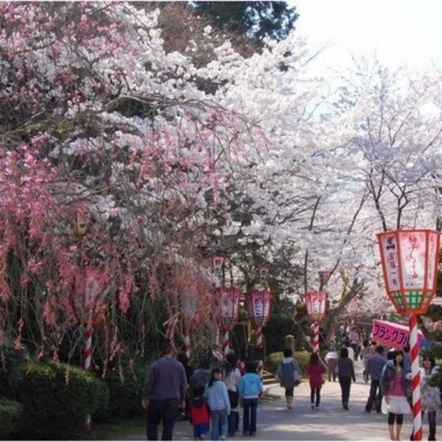 Kyukamura Oku-Daisen