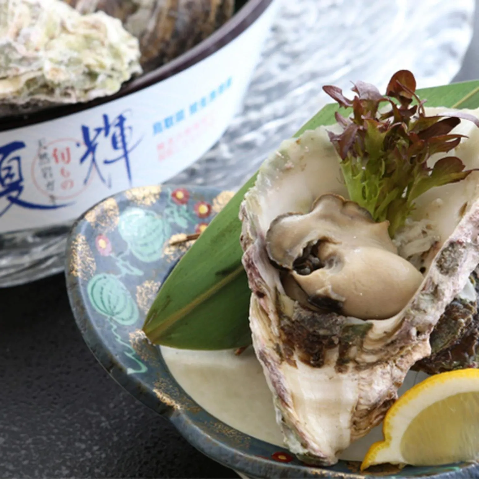 Kyukamura Oku-Daisen