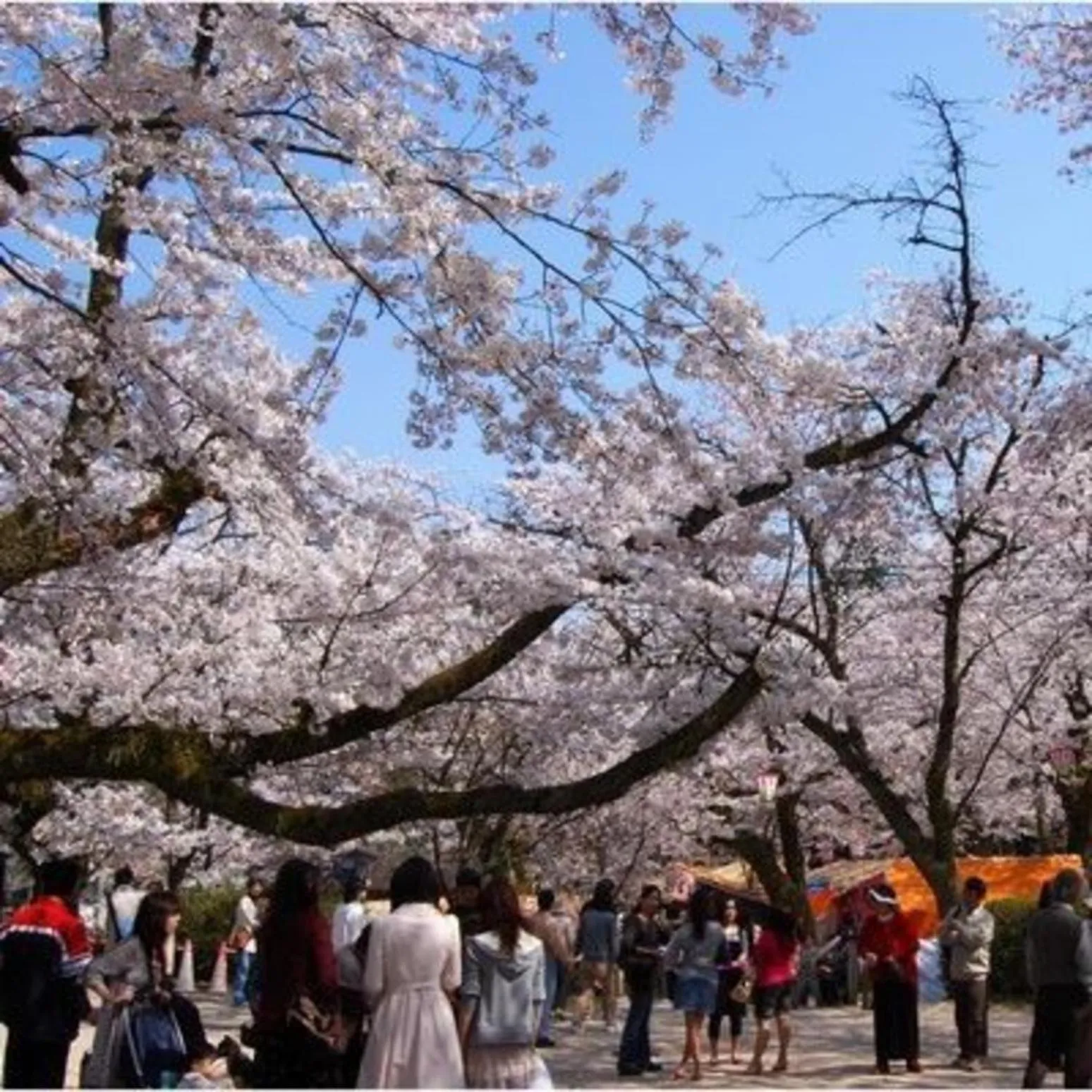 Kyukamura Oku-Daisen