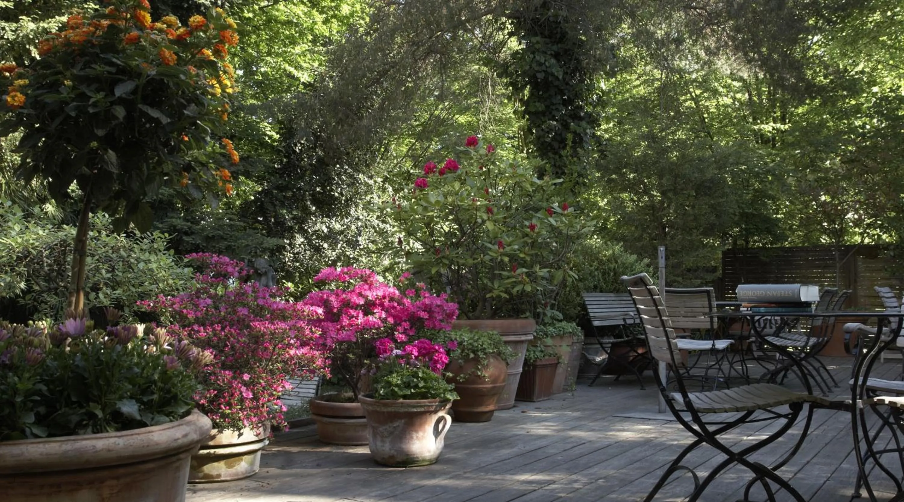 Patio in Wedina Budget