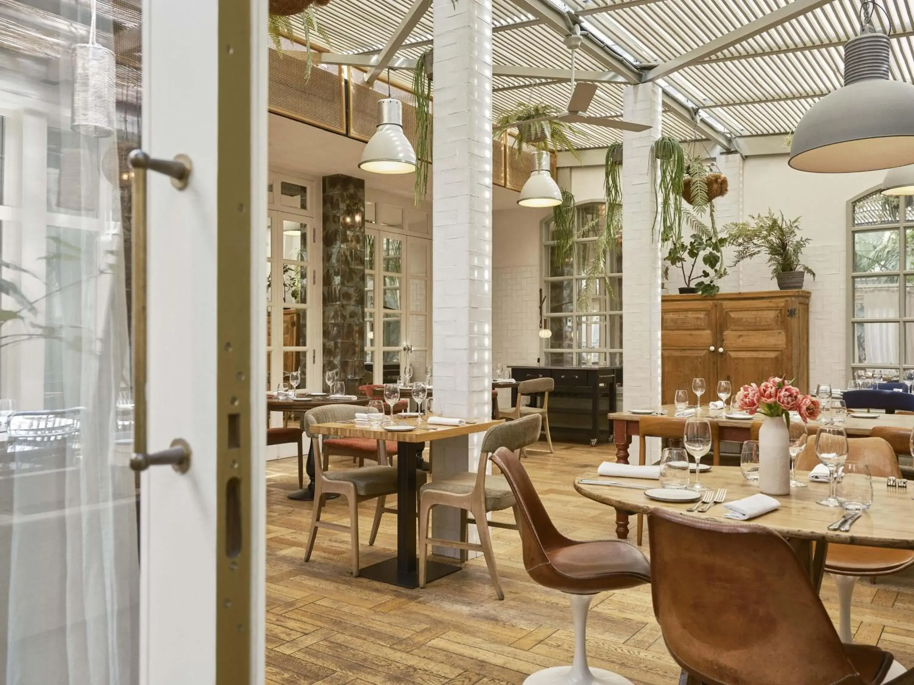 Restaurant/places to eat in Hotel Pulitzer Barcelona Restaurant/places to eat in Hotel Pulitzer Barcelona