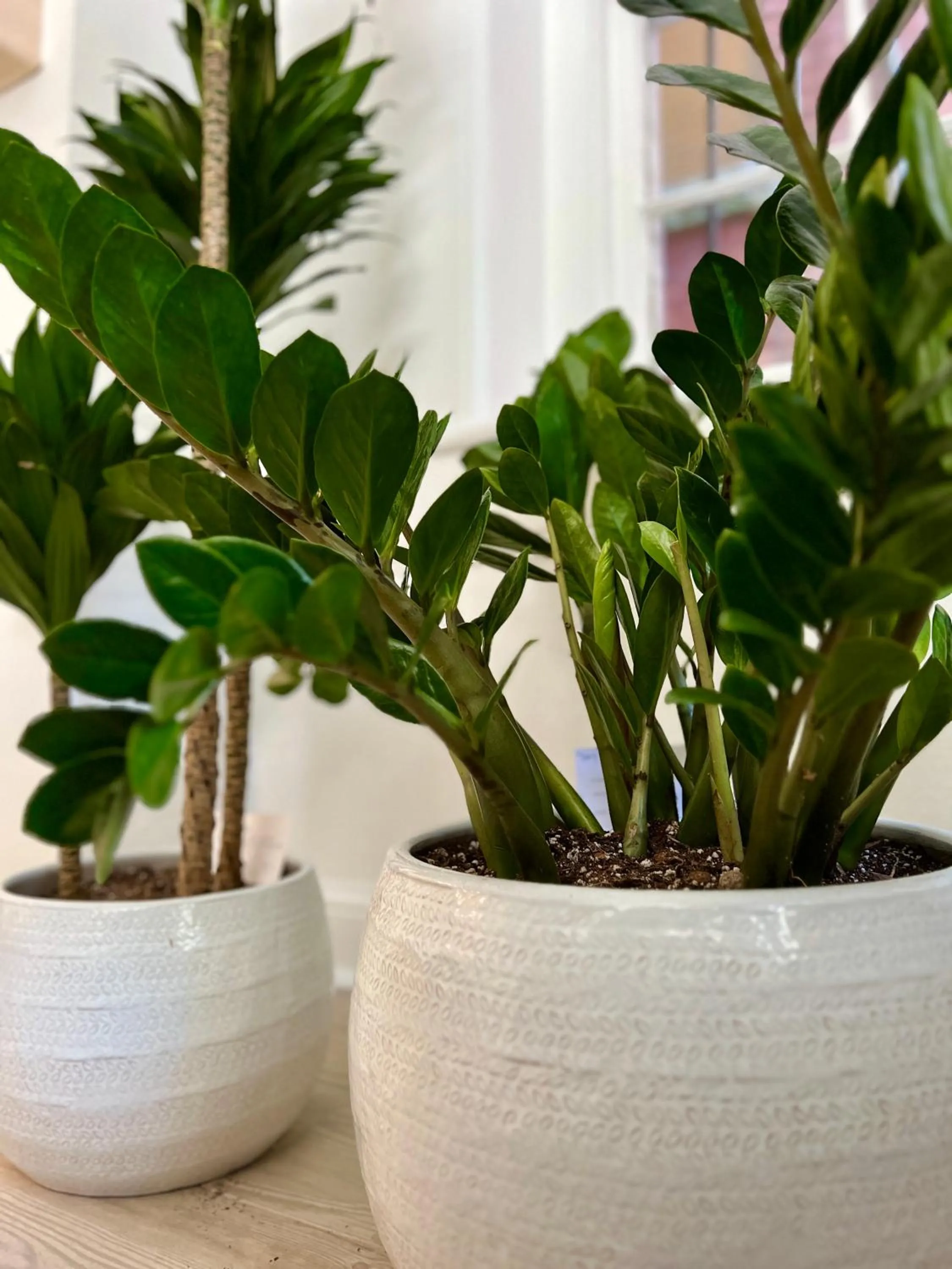 Be Our Gaston's A Walk in the Park