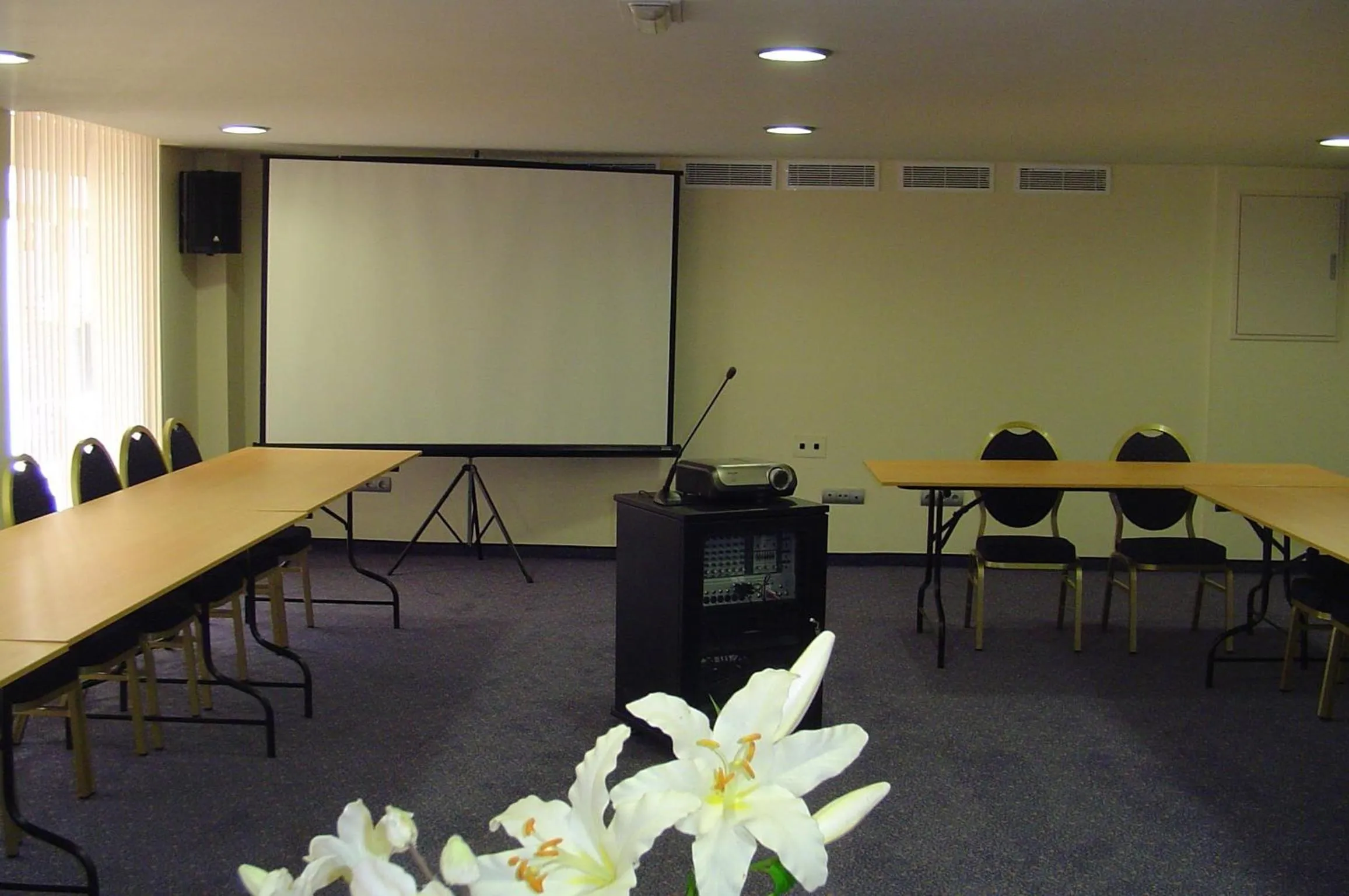 Business facilities in Hotel Hispania