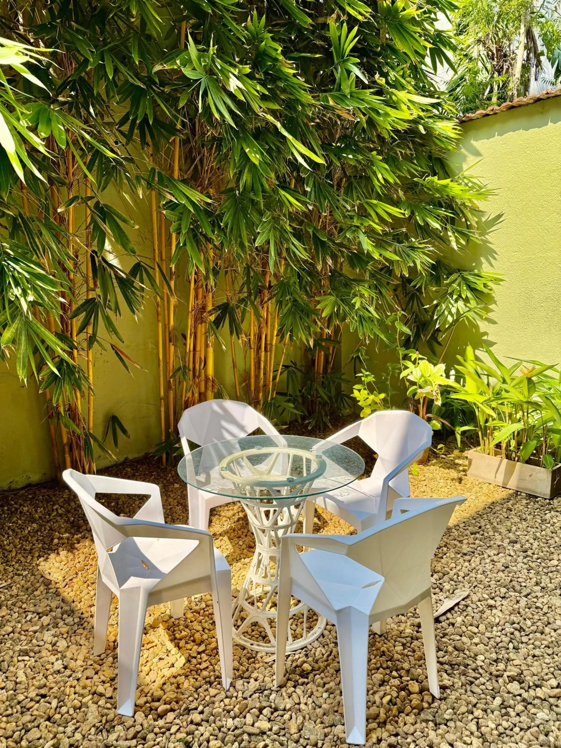 Garden in Tropic Inn - Mount Lavinia