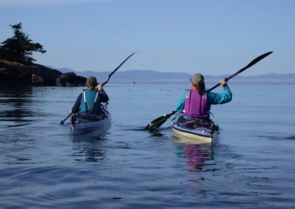 Activities in Seagull Studio Vacation Suite