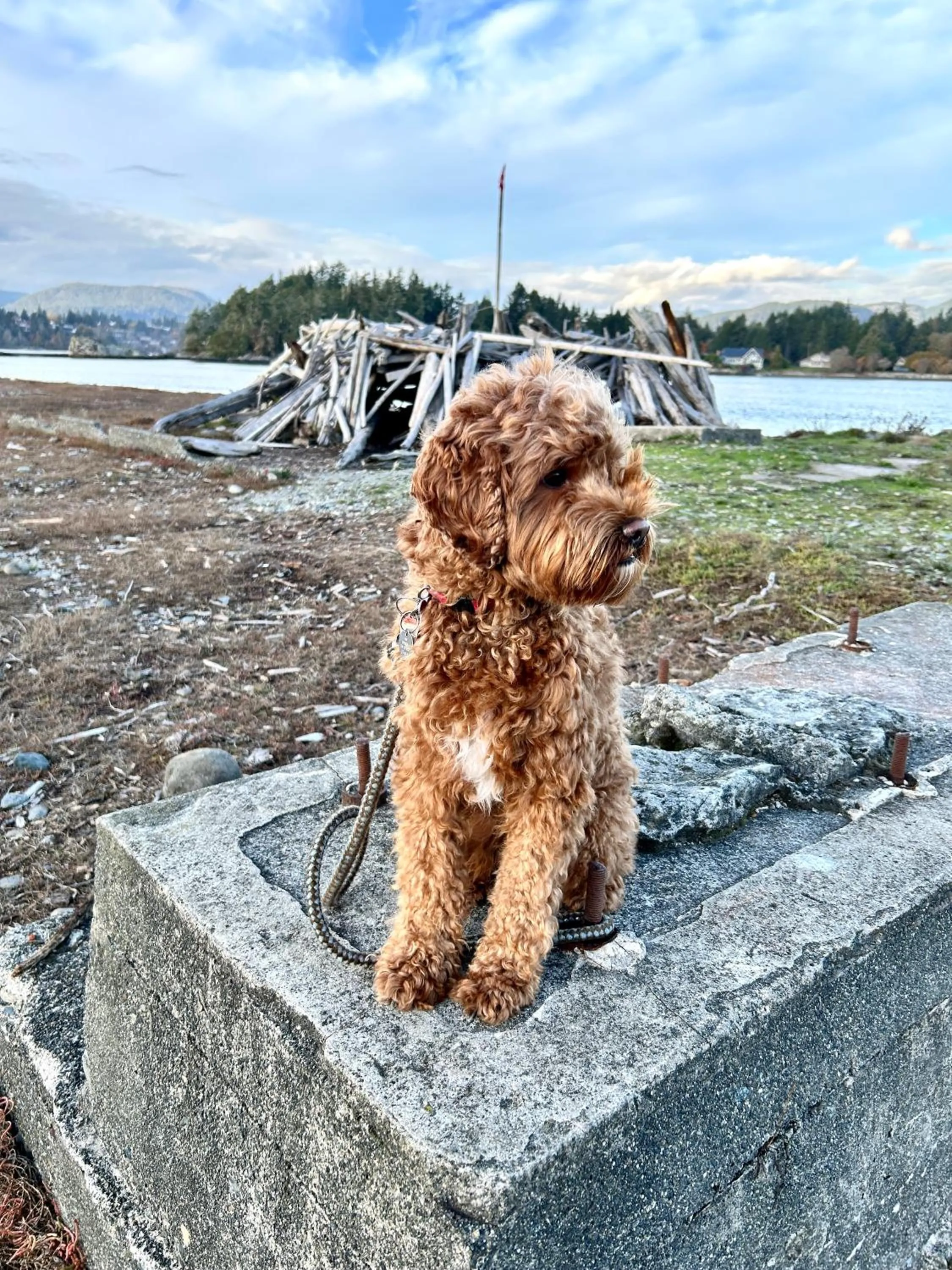 Beach in Seagull Studio Vacation Suite