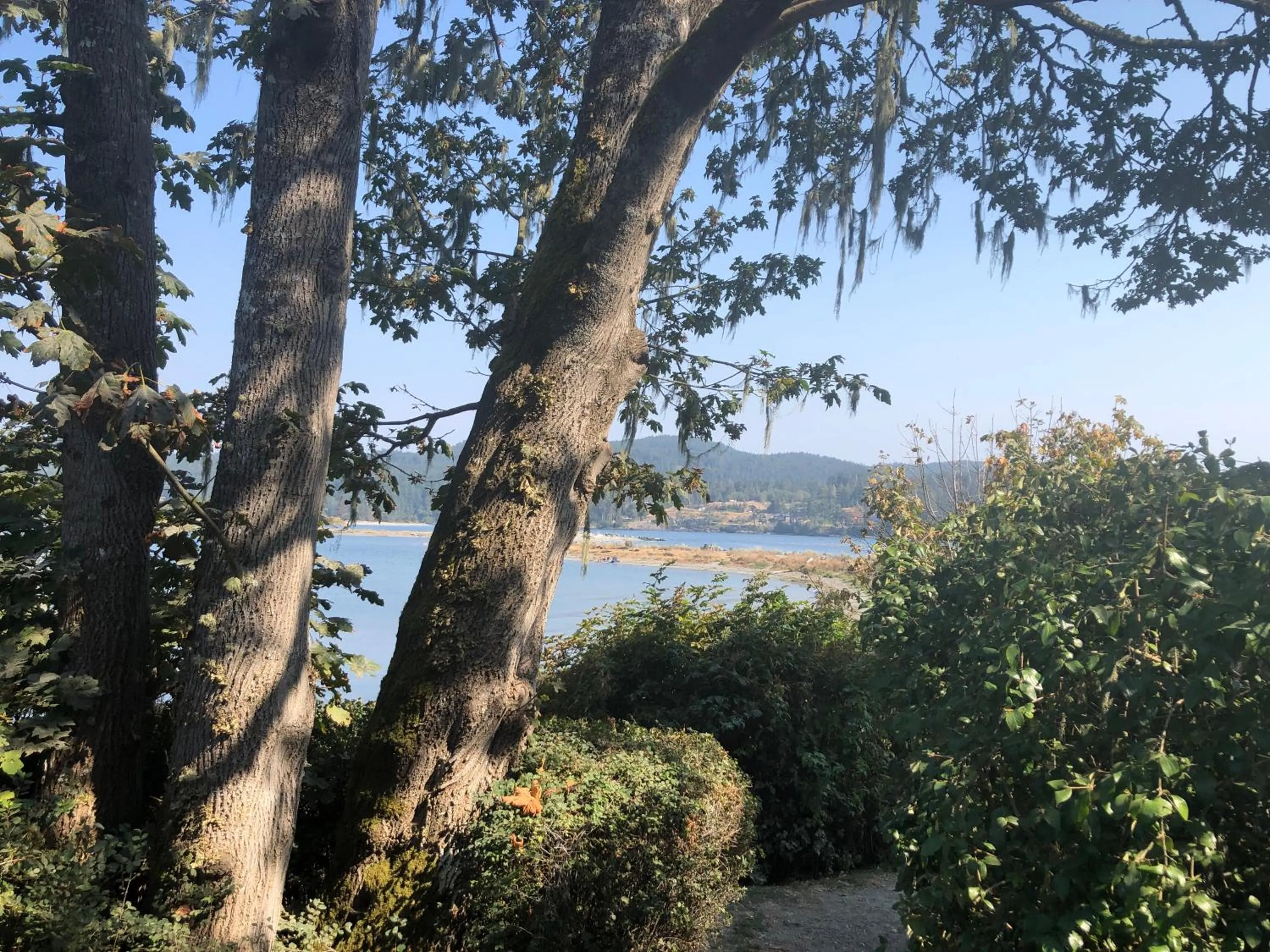 Hiking in Seagull Studio Vacation Suite