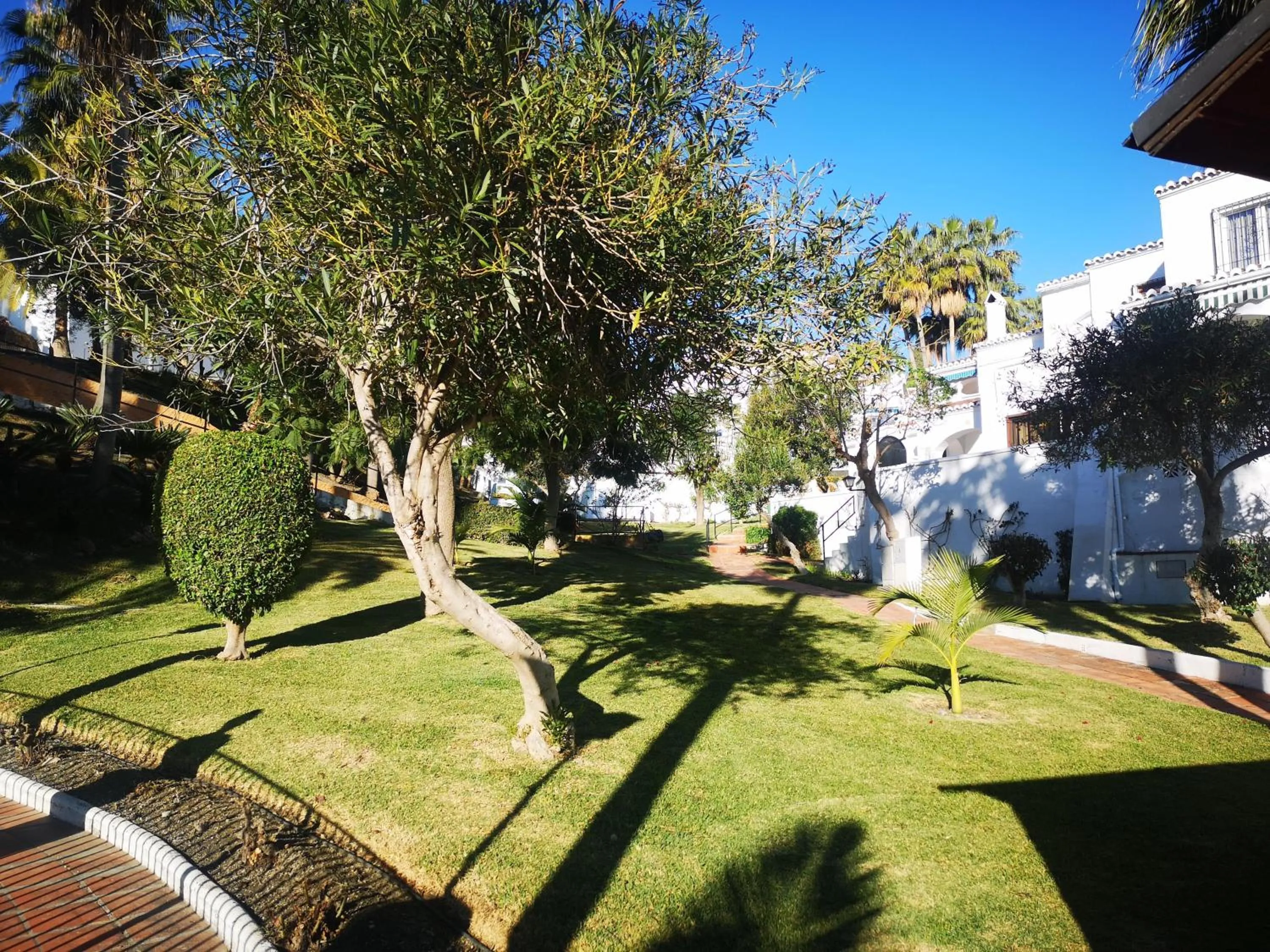 Garden in El Capistrano