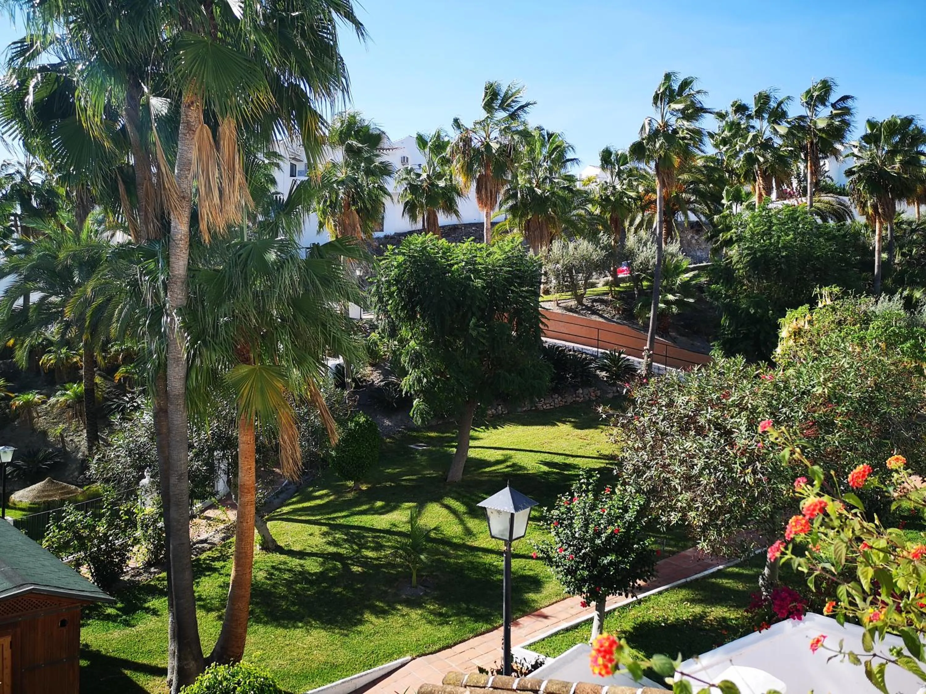 Garden in El Capistrano