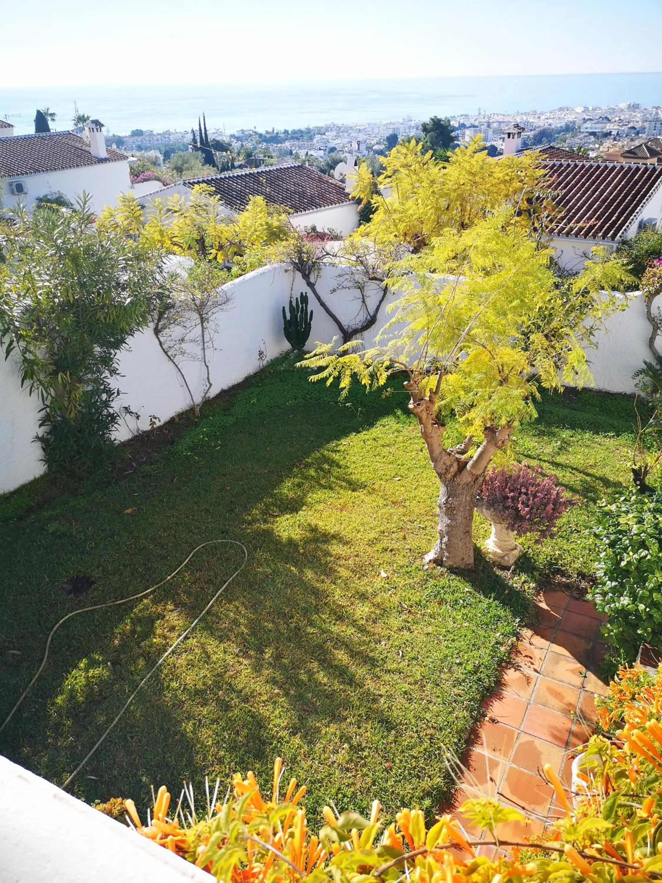 Garden in El Capistrano