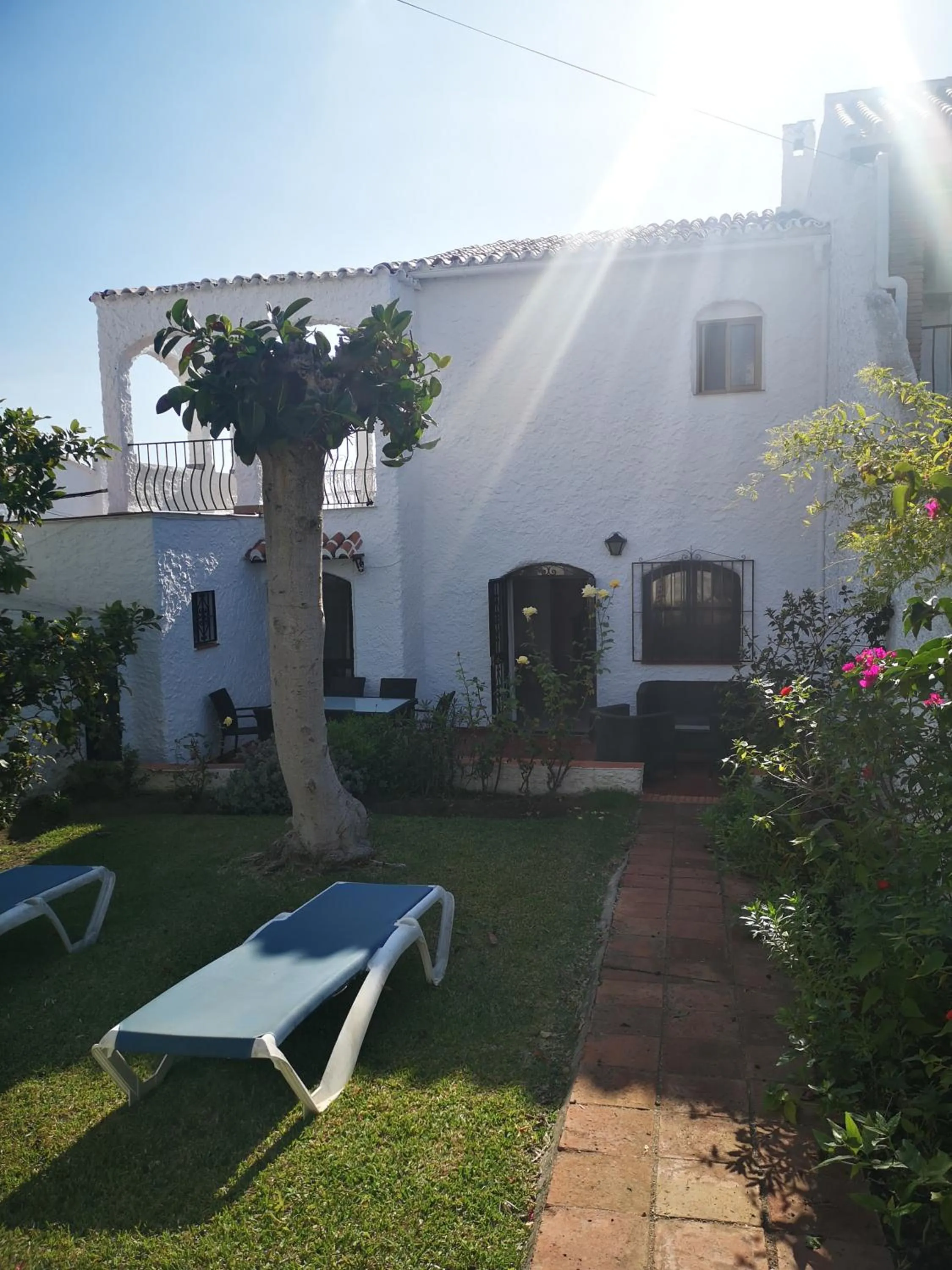 Garden in El Capistrano