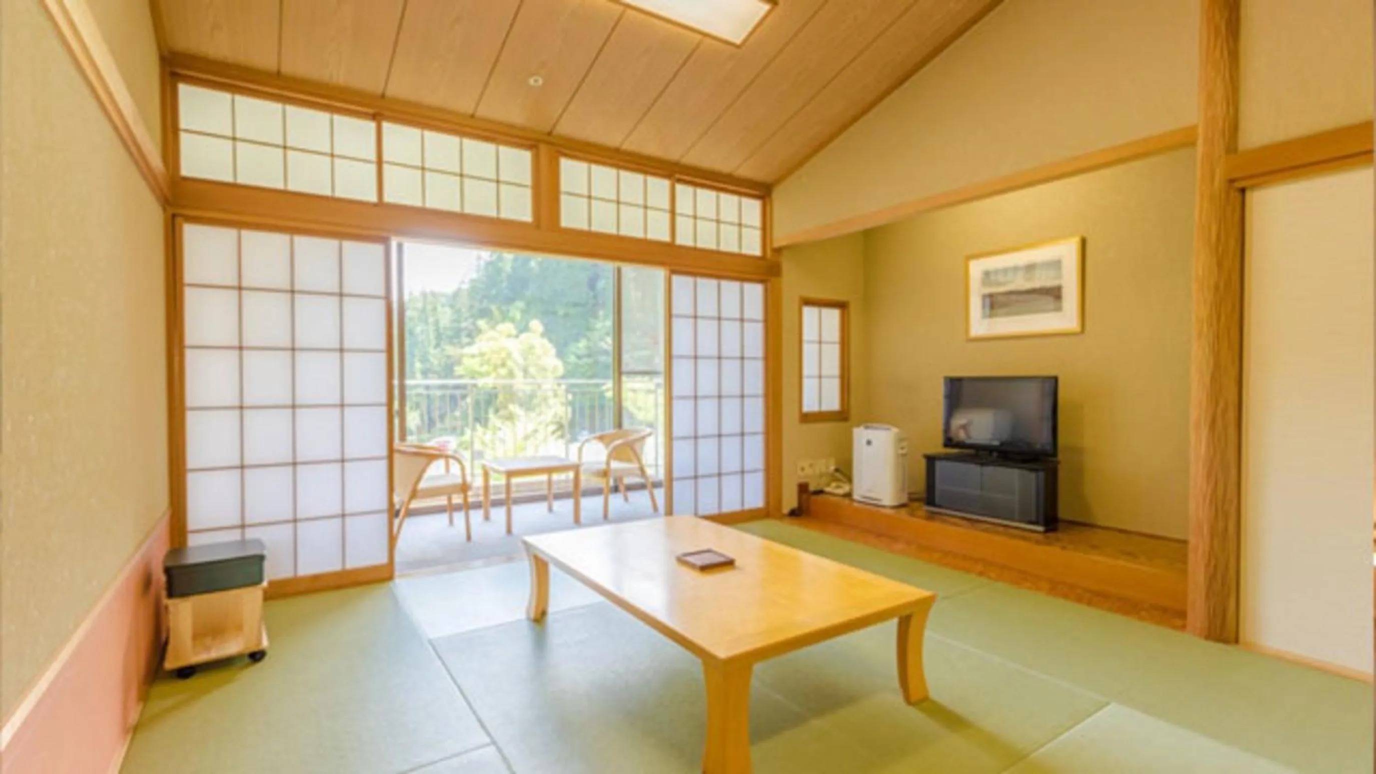 TV and multimedia in Kyukamura Oku-Musashi