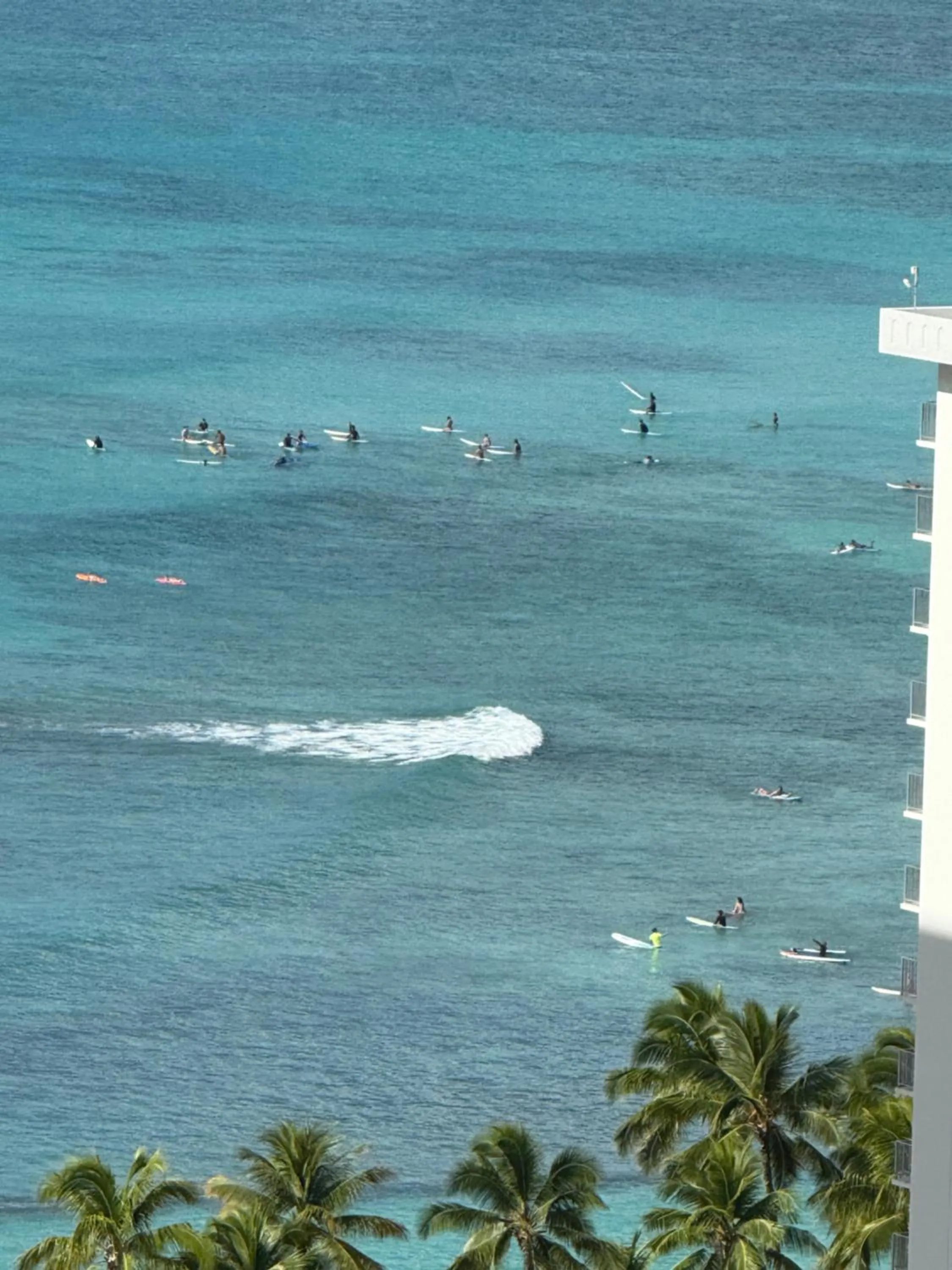 Newly renovated luxury, modern style Waikiki Sunset Hotel Ocean view Freeparking