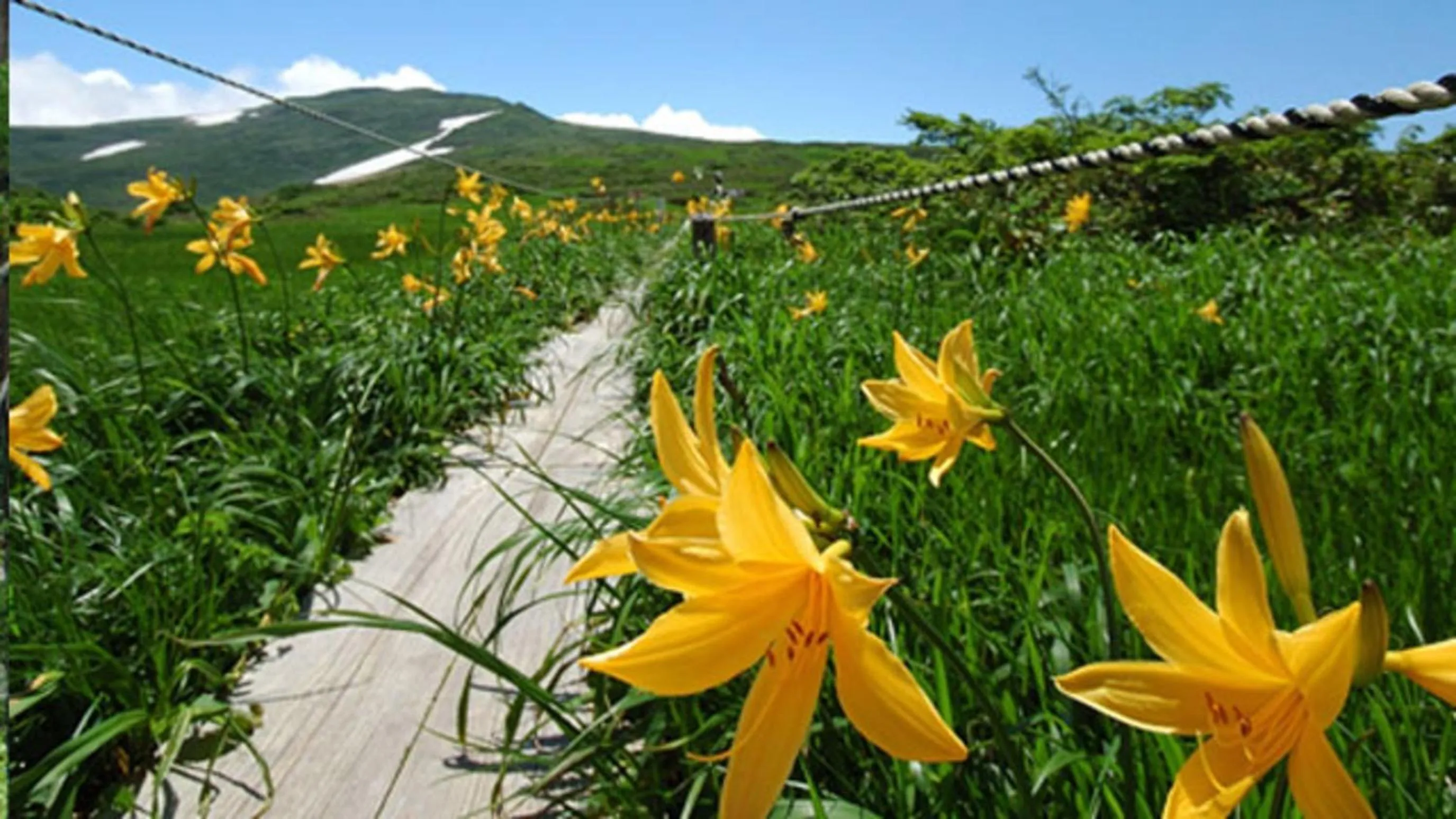 Kyukamura Shonai-Haguro
