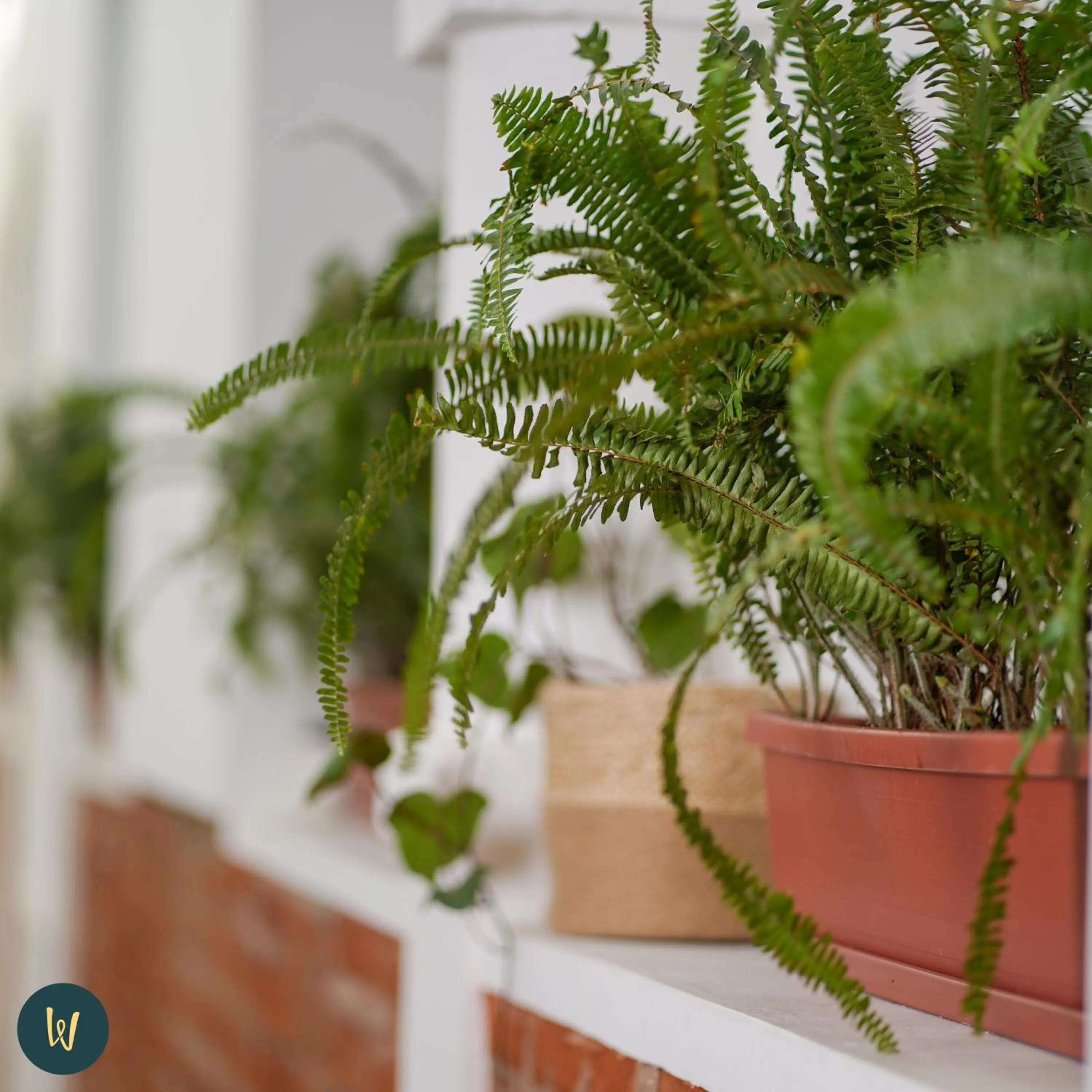 Property building in Wanderlot - Hotel Plaza Central