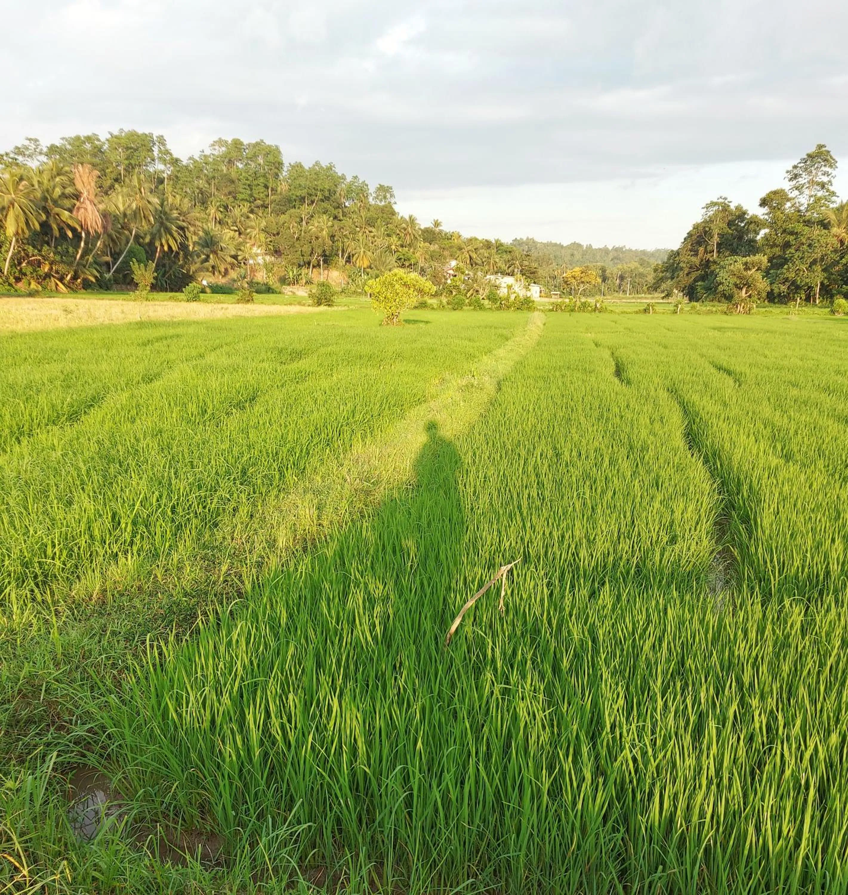 Cycling in Villa Alba - Ahangama