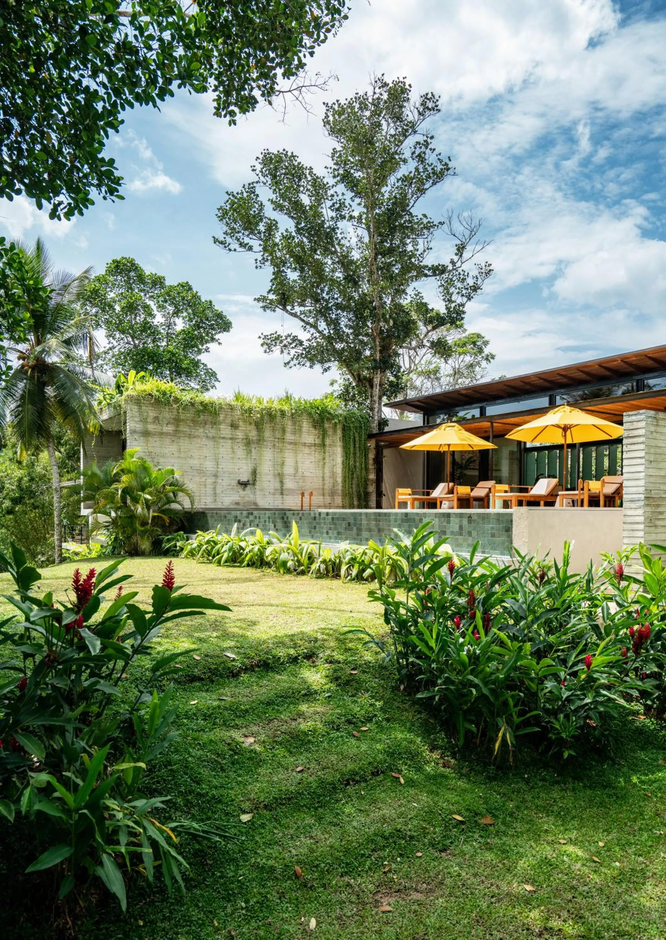 Garden in Villa Alba - Ahangama