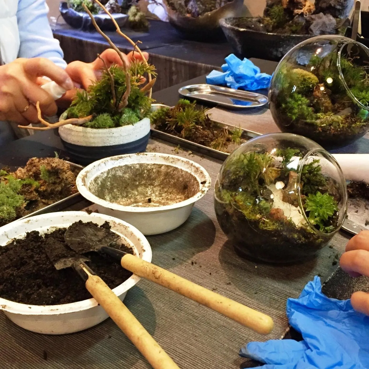 Kyukamura Chausuyama-Kogen