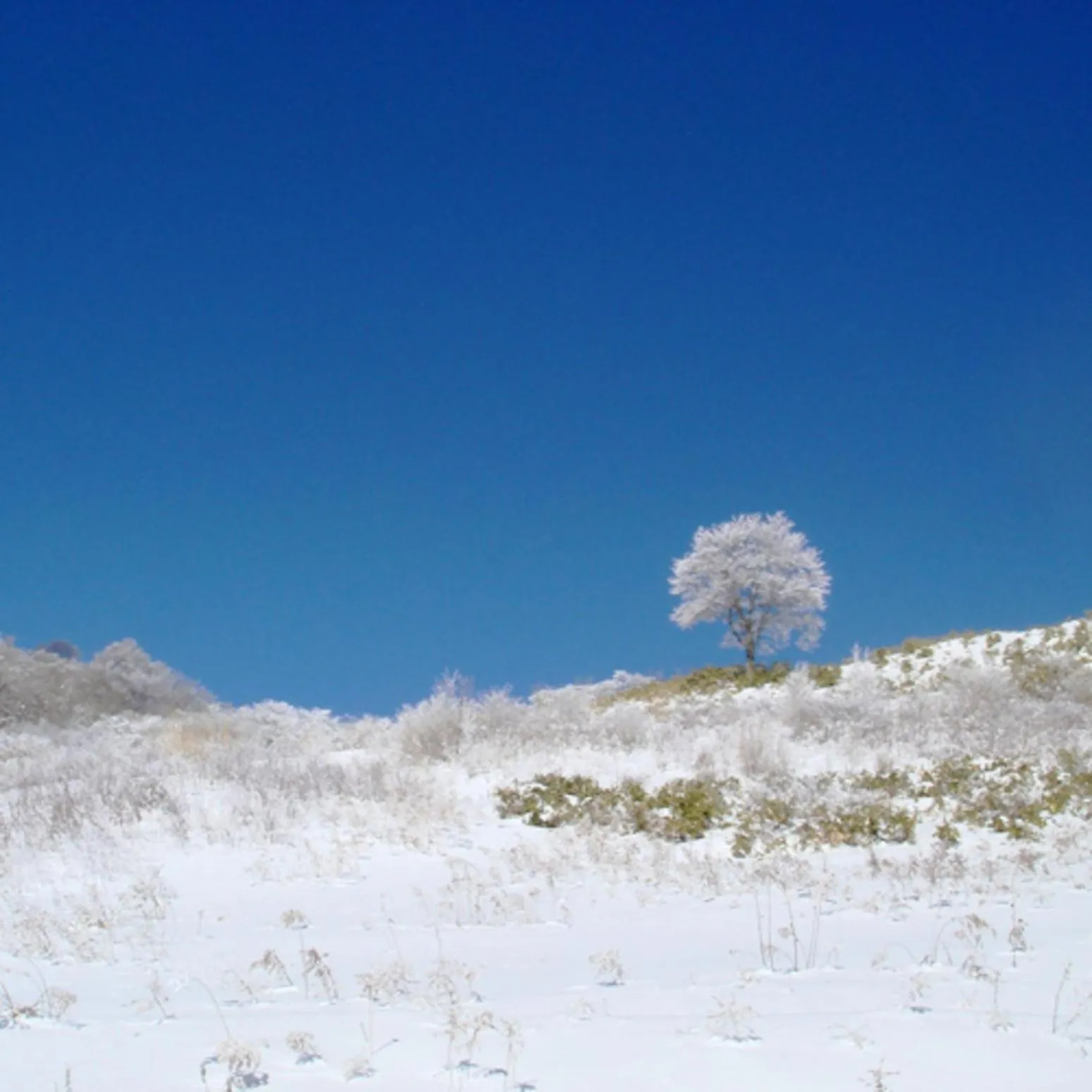 Kyukamura Chausuyama-Kogen
