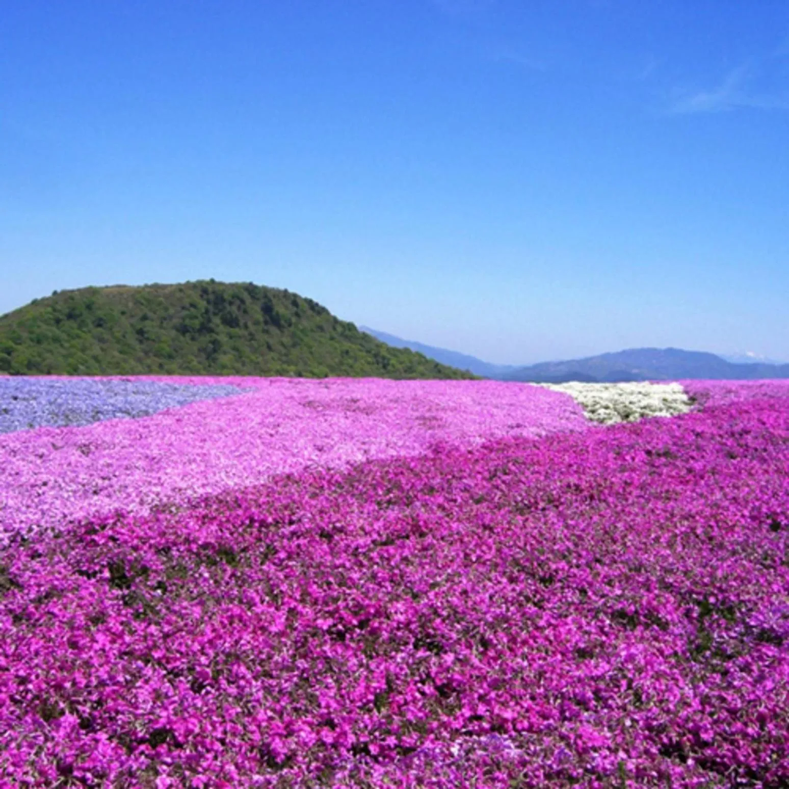 Kyukamura Chausuyama-Kogen