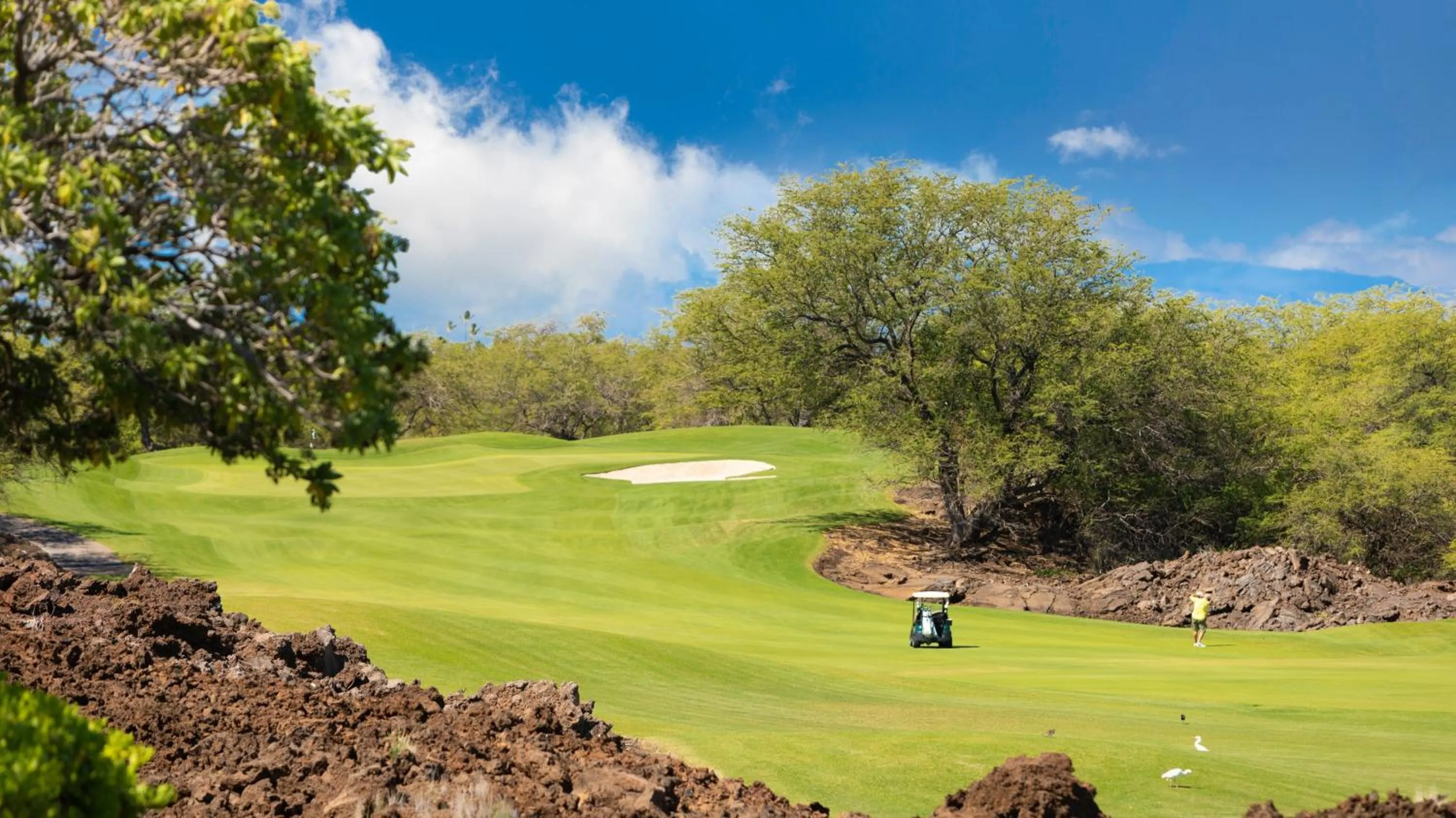 Other in ORCHID VILLA Inviting Fairways 3BR with Bikes and Private Beach Club